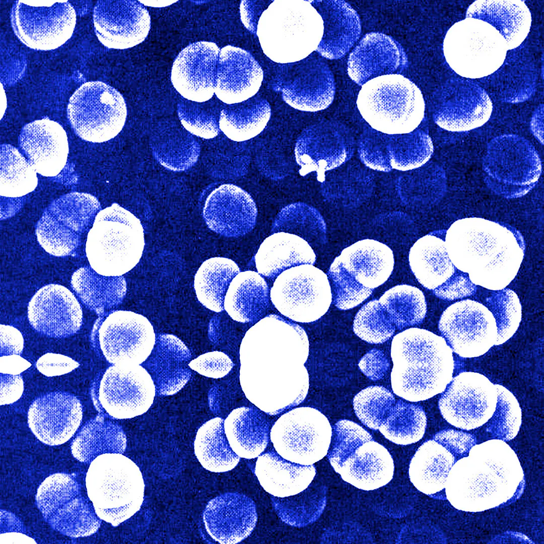 Hacia lo propio y hacia lo ajeno Hacia lo propio y hacia lo ajeno