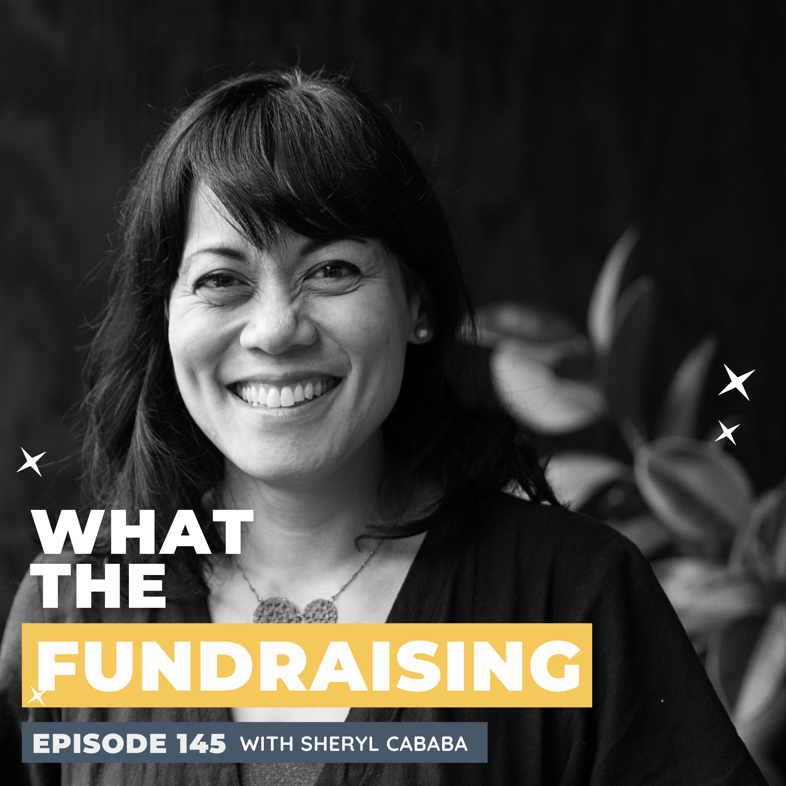 What the Fundraising