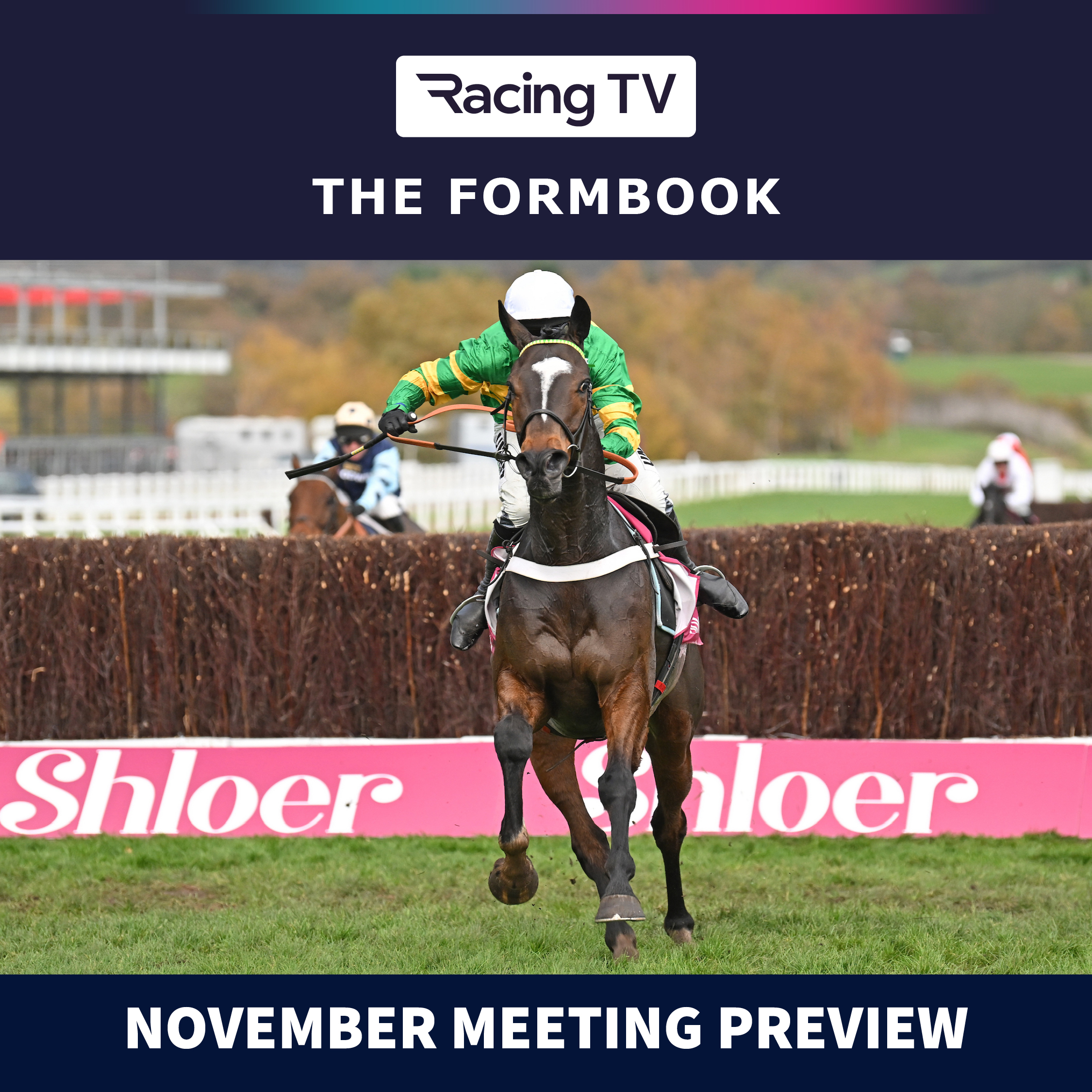 Cheltenham November Meeting Tips & Preview | The Formbook