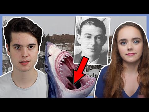 The Sinister Sydney Shark Case: Summer of True Crime Collabs episode artwork