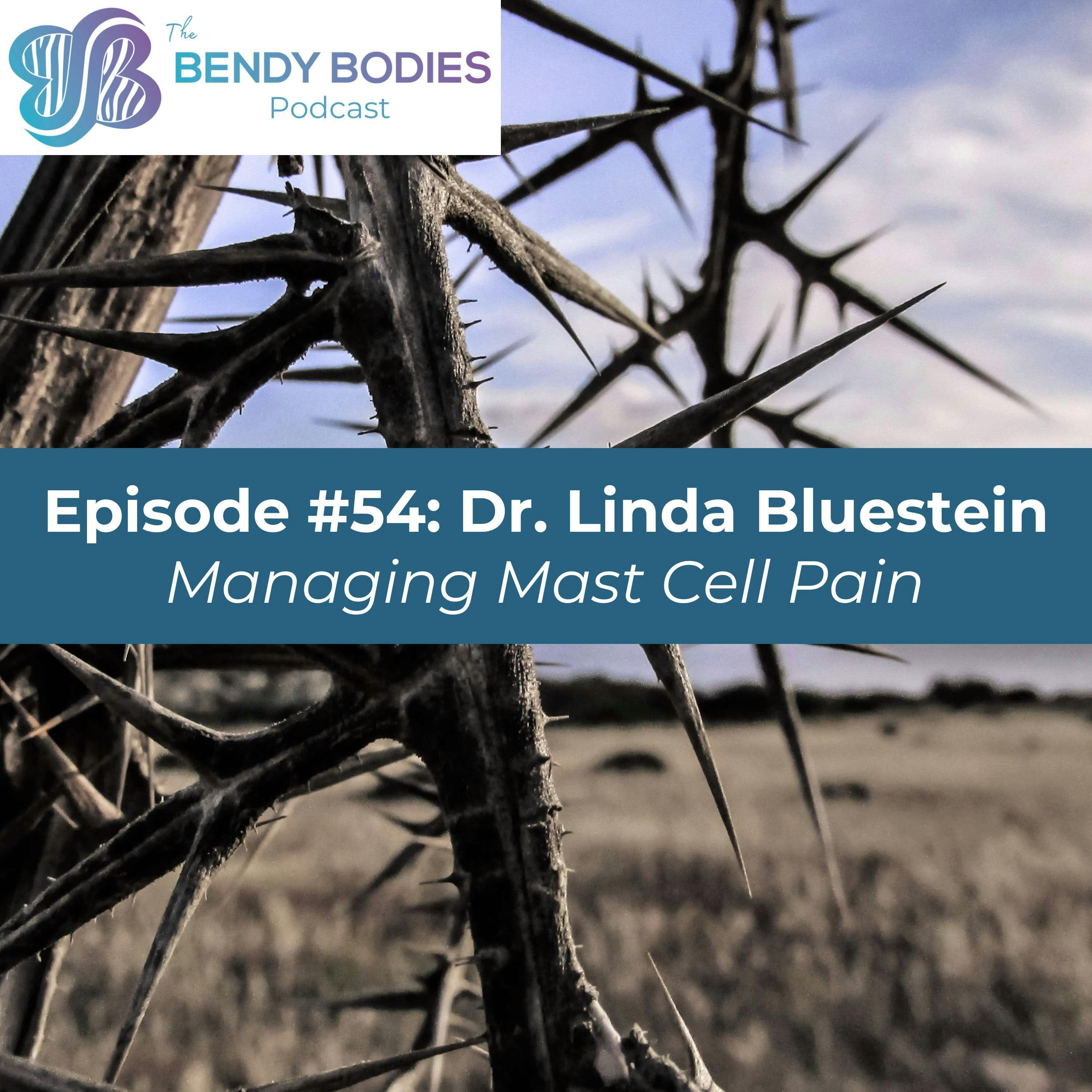 54. Managing Mast Cell Pain with Linda Bluestein, MD 54. Managing Mast Cell Pain with Linda Bluestein, MD
