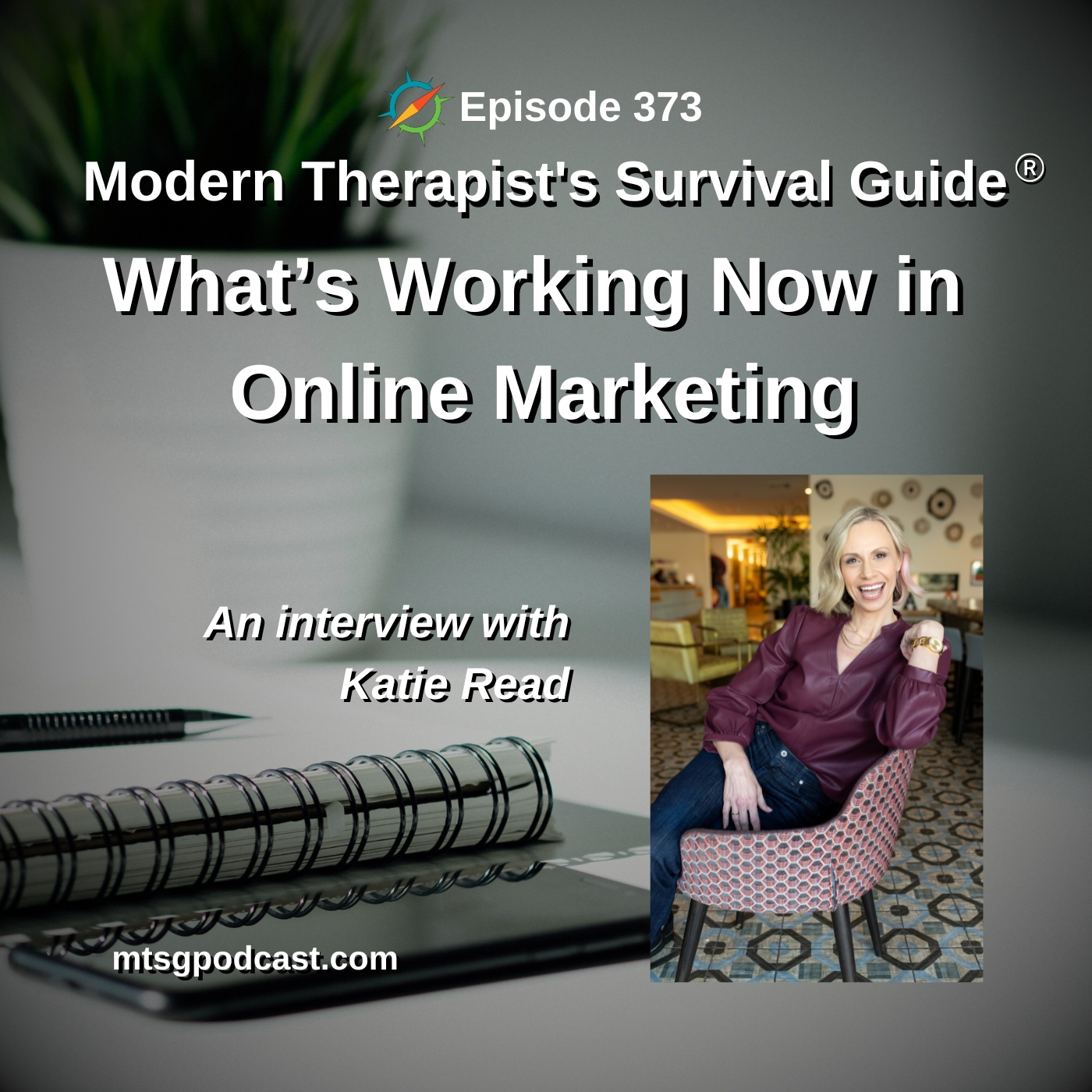 The Modern Therapist\'s Survival Guide with Curt Widhalm and Katie Vernoy