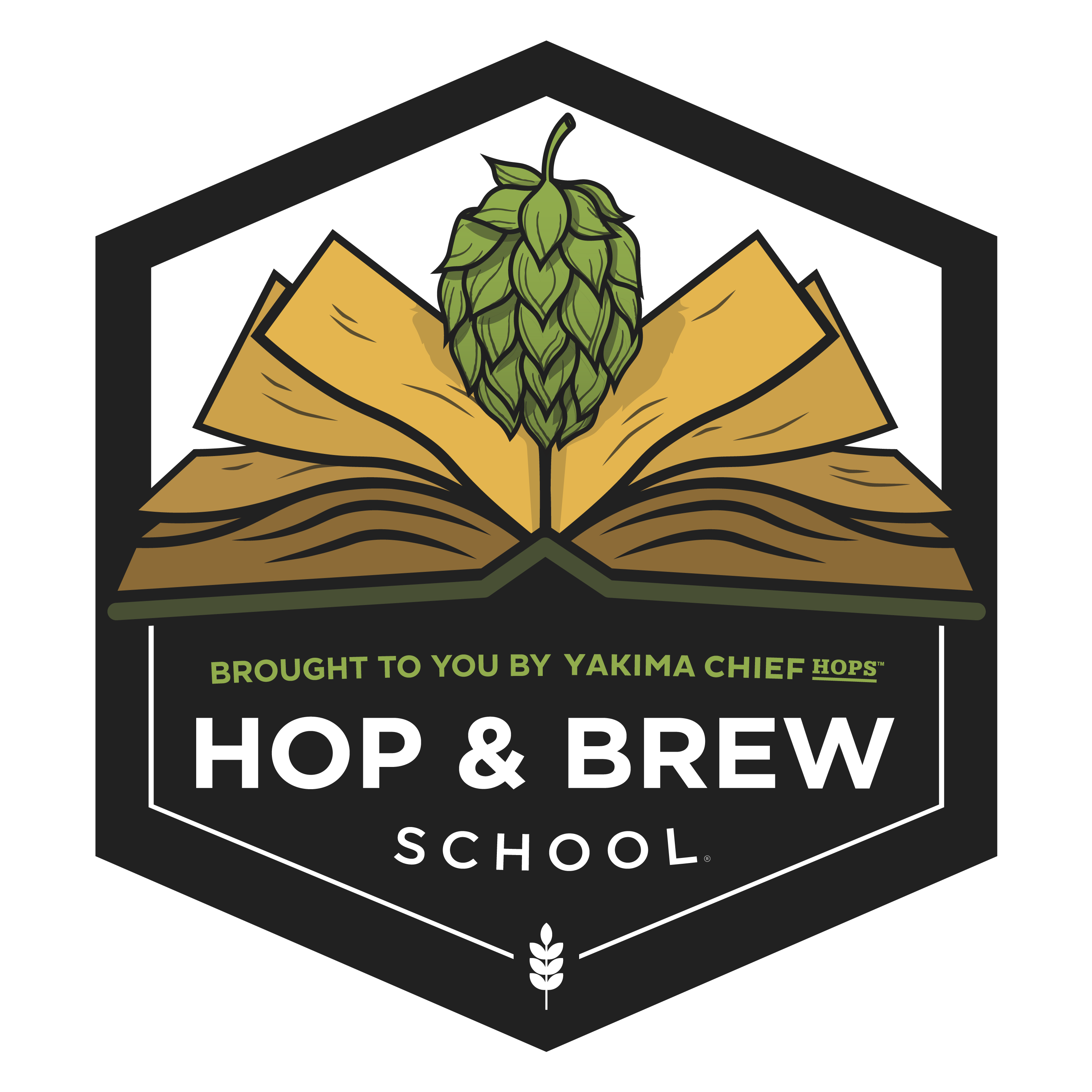 Hop And Brew School Ep9 | Water Chemistry And Hops