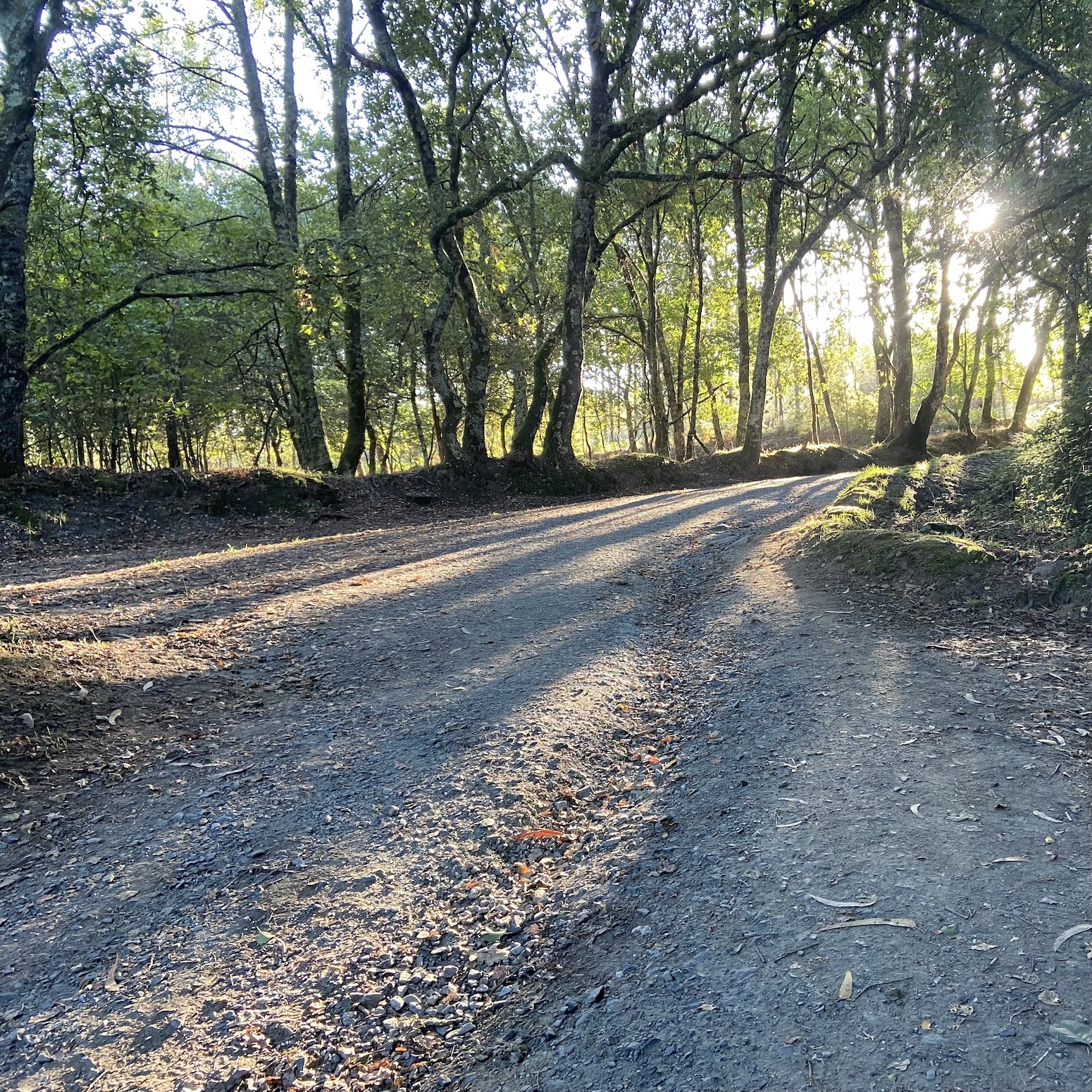 My Camino - the podcast