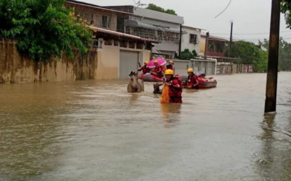 Chuva deixa mais de 12 mil pessoas desabrigadas em Pernambuco e na Paraíba