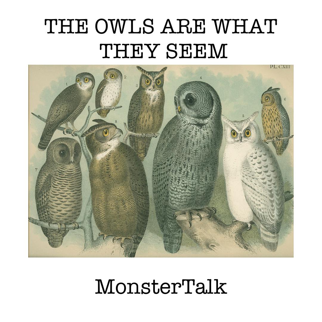 250 - The Owls Are What They Seem