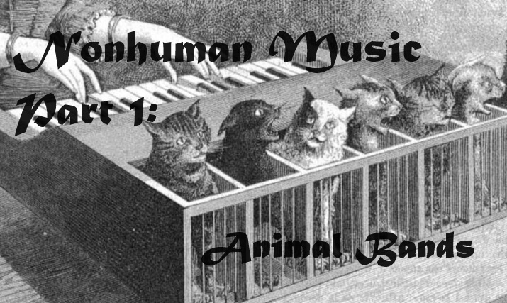 Non-Human Music, Part 1: Animal Bands (Episode 97)