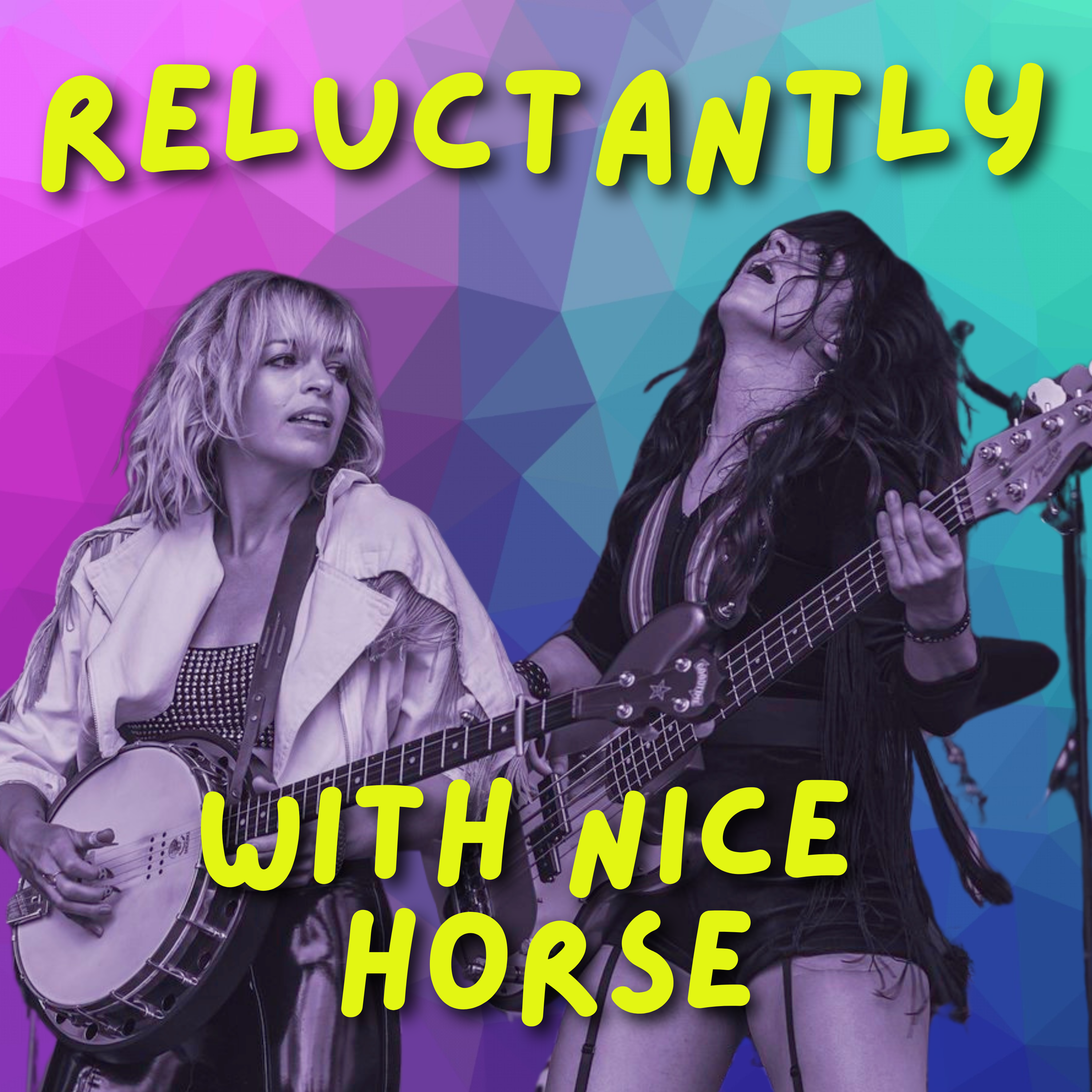 Nice Horse... Sew Puzzled