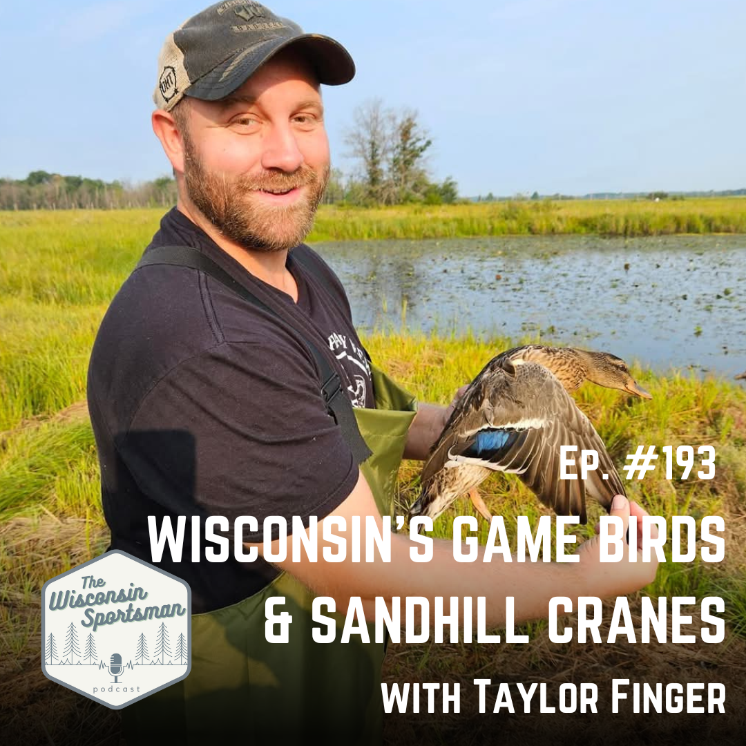 Wisconsin Sportsman - Wisconsin's Game Birds & Sandhill Cranes with Taylor Finger