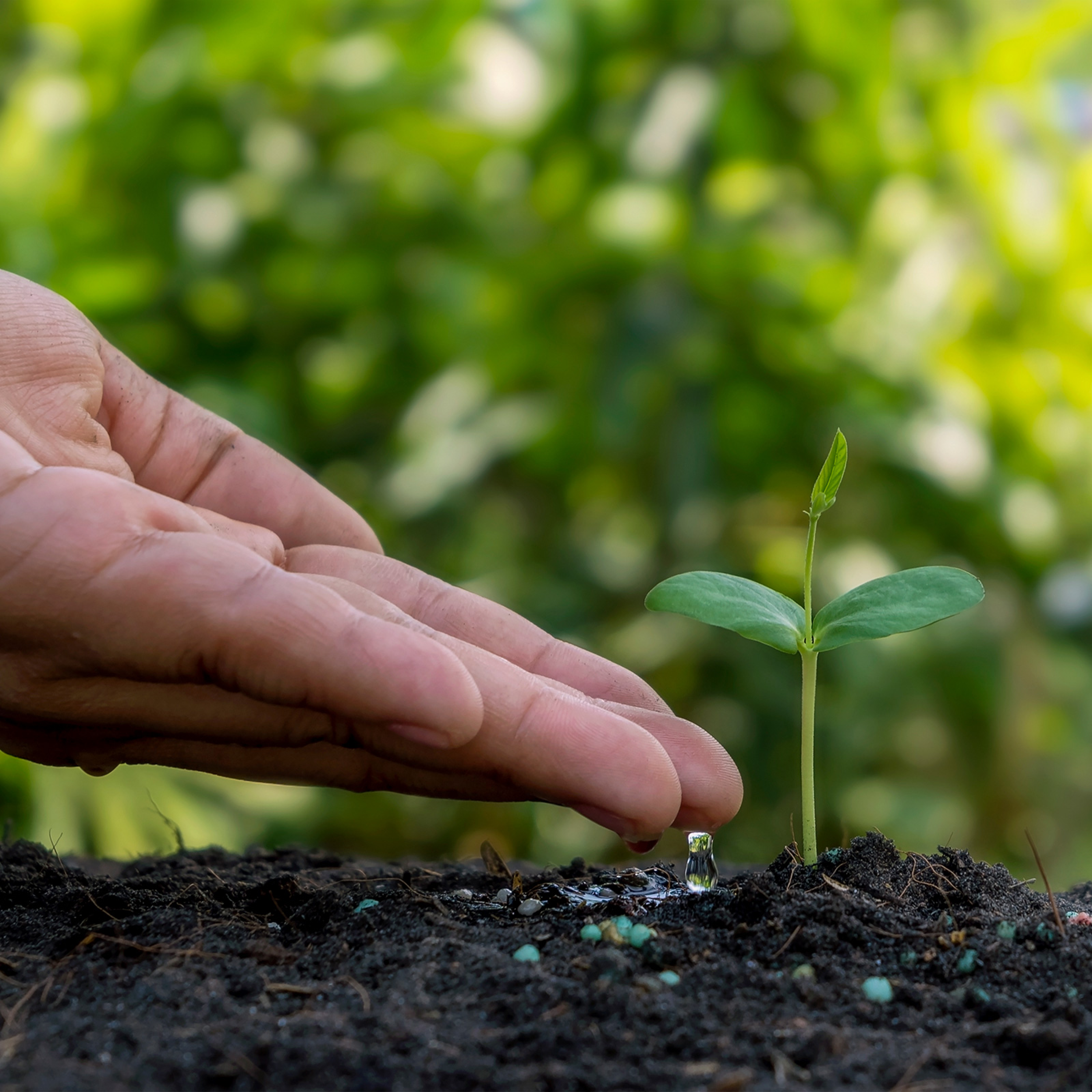 THE TRUTH ABOUT YOUR FUTURE with Ric Edelman