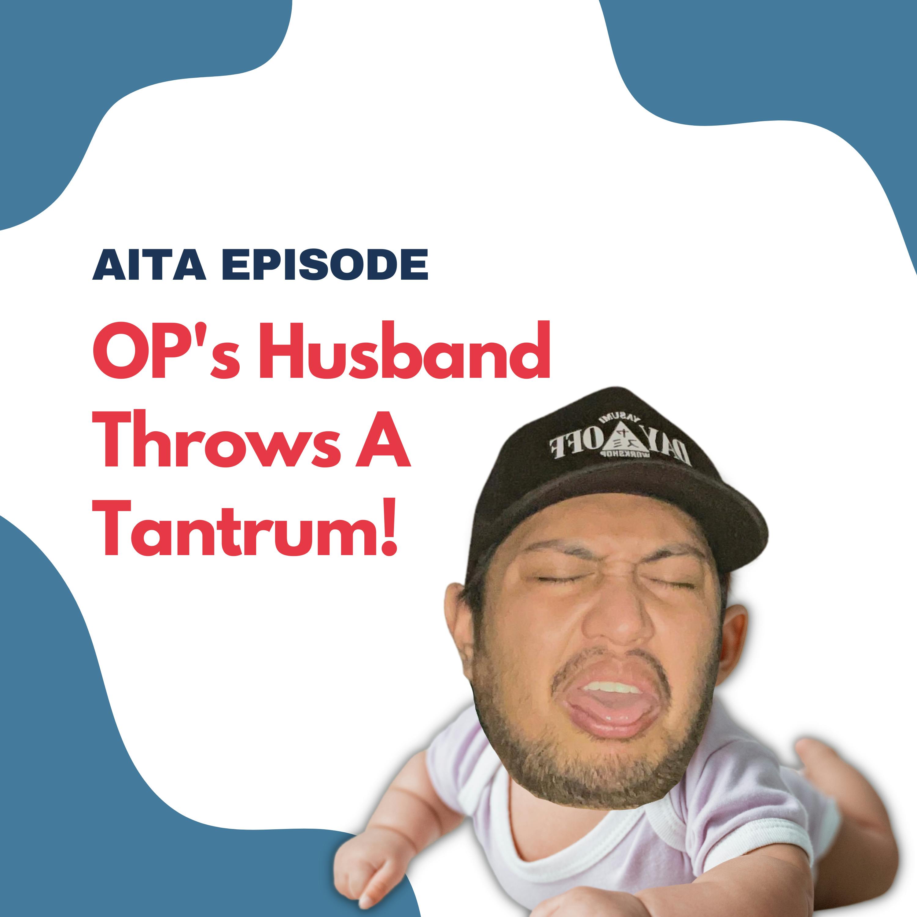 OP's Husband Throws A Tantrum! | Am I The Asshole Image