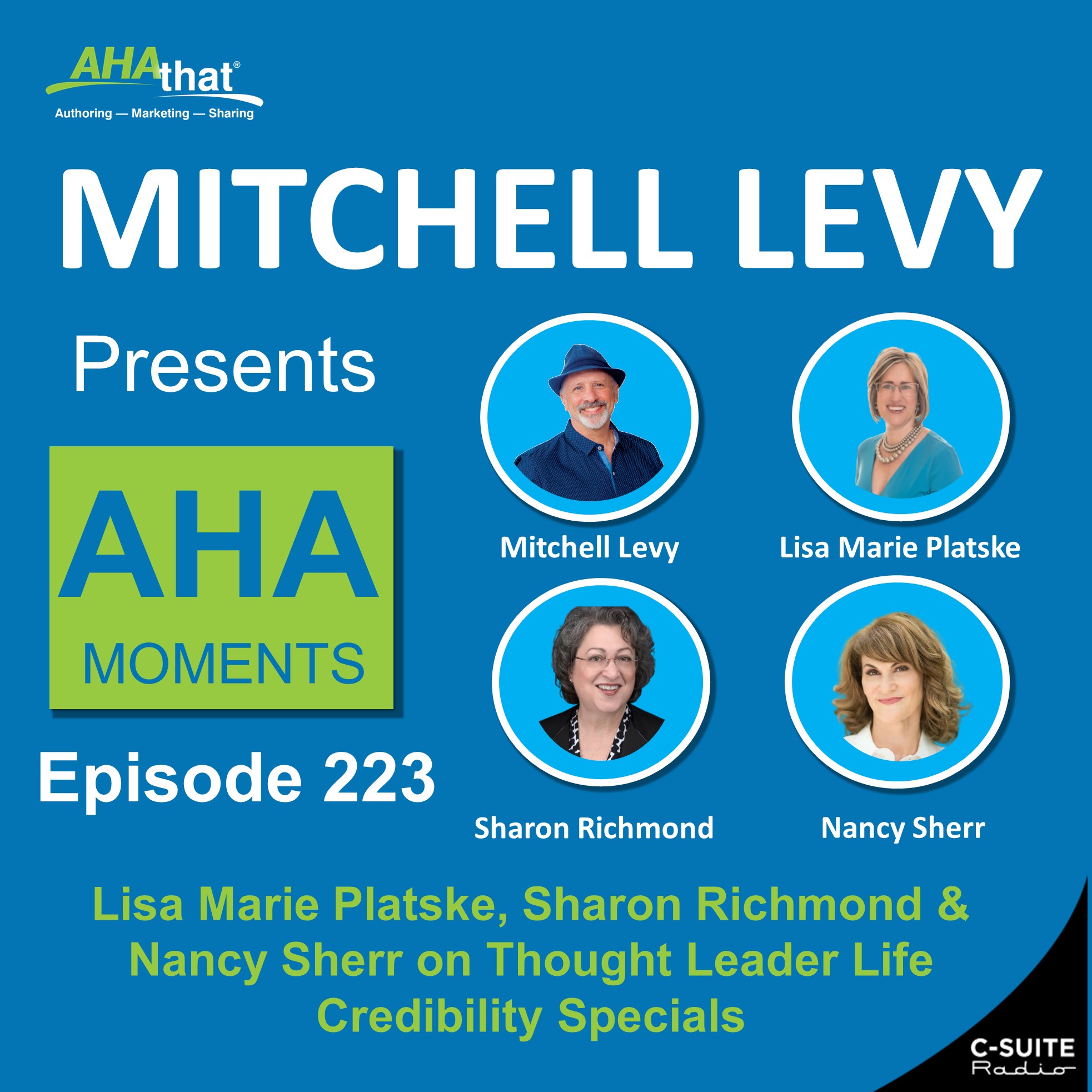 Mitchell Levy Presents AHA Moments