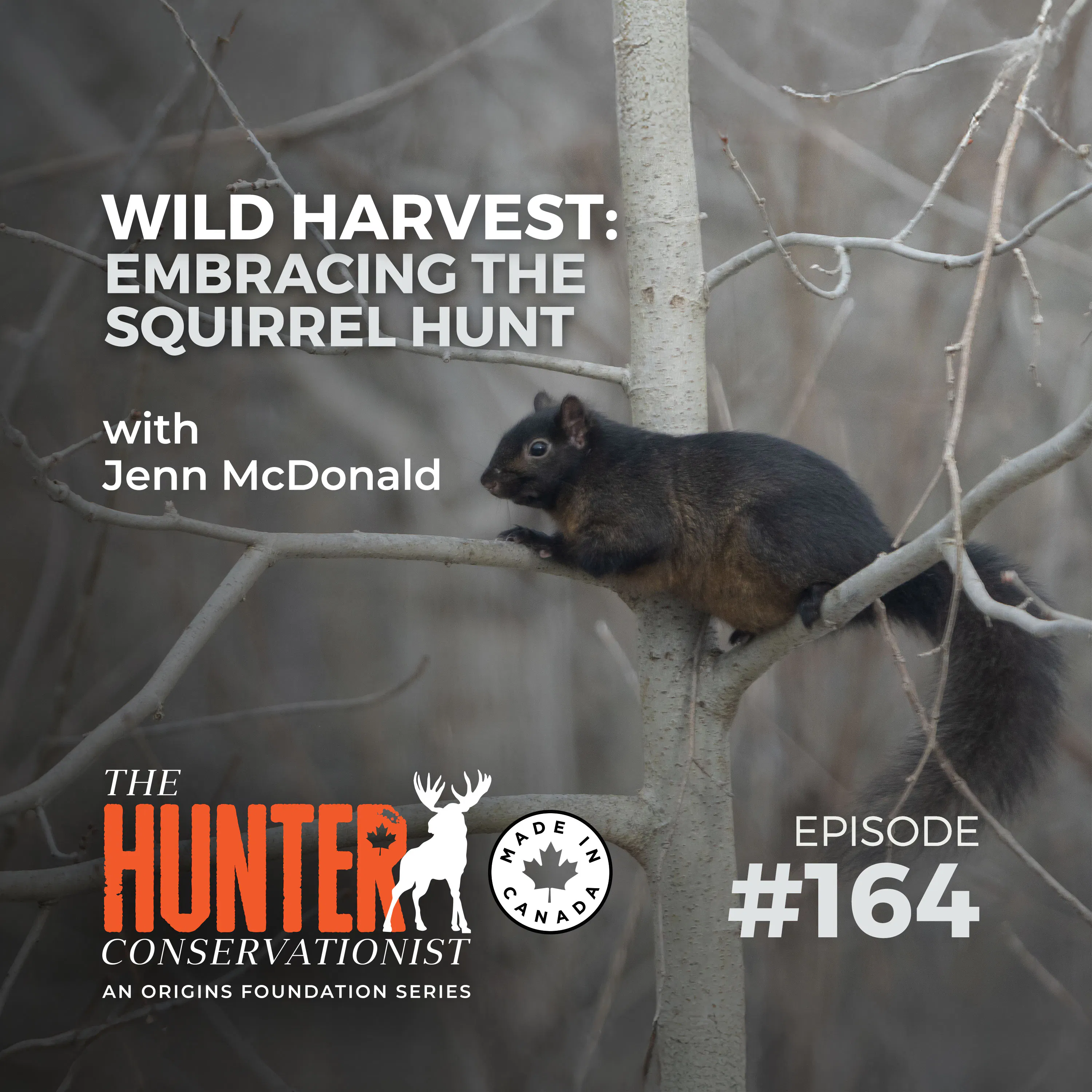 Wild Harvest: Embracing The Squirrel Hunt || Ep. 164 episode artwork