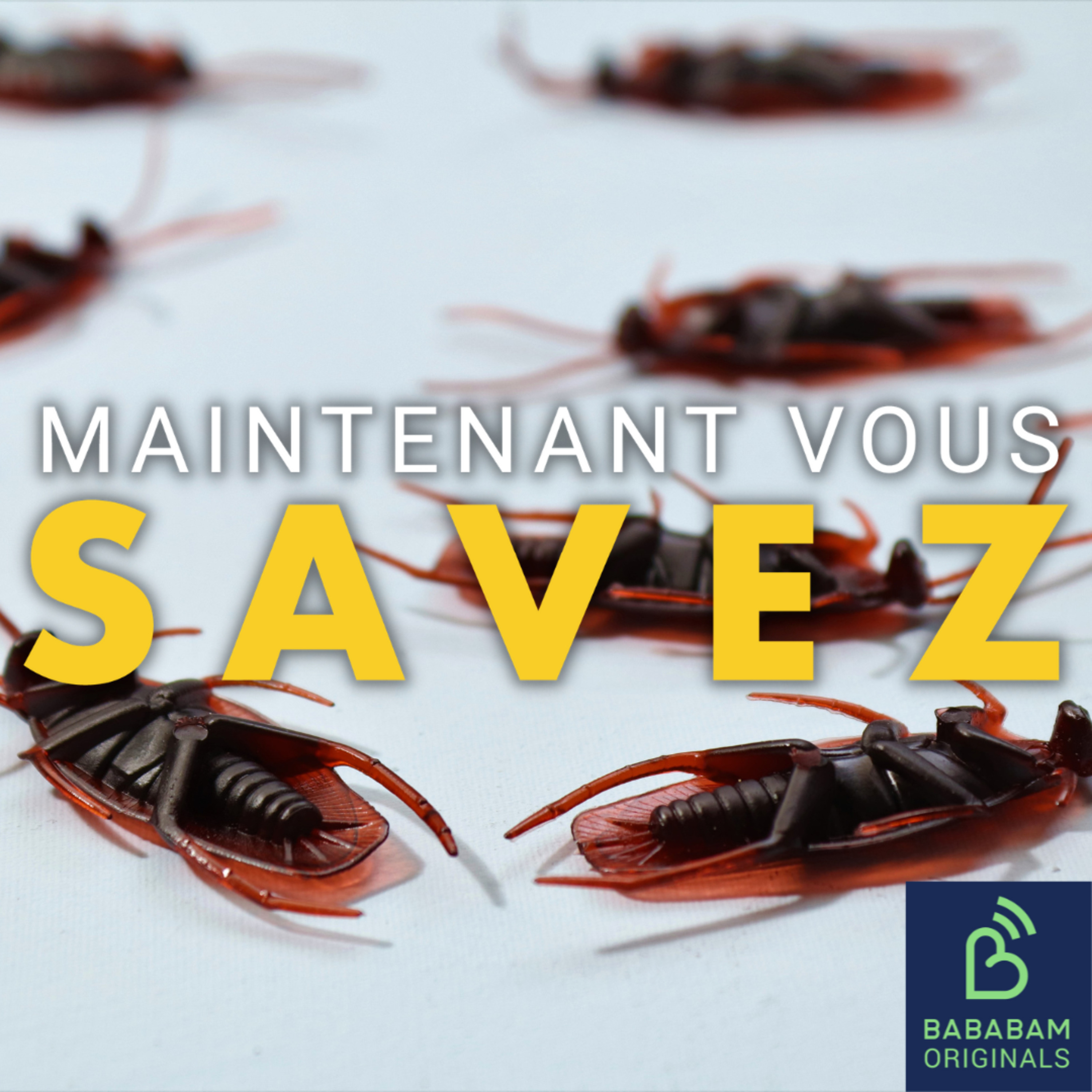 Qu’est-ce que la technique du cafard ?