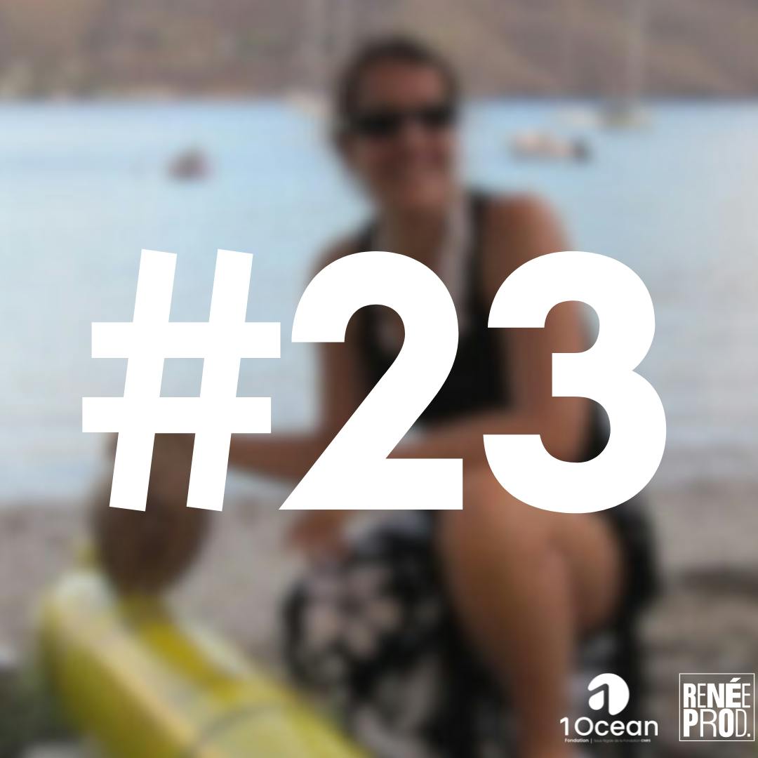 Plongeon dans l'archipel des Marquises Plongeon dans l'archipel des Marquises