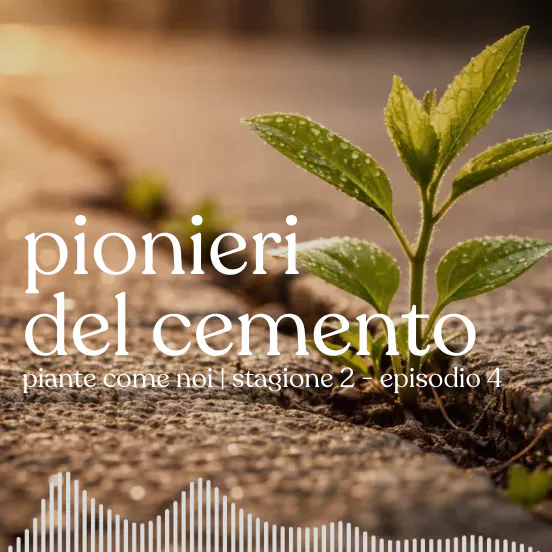 Pionieri del cemento - Stagione 2 | Episodio 4 episode artwork