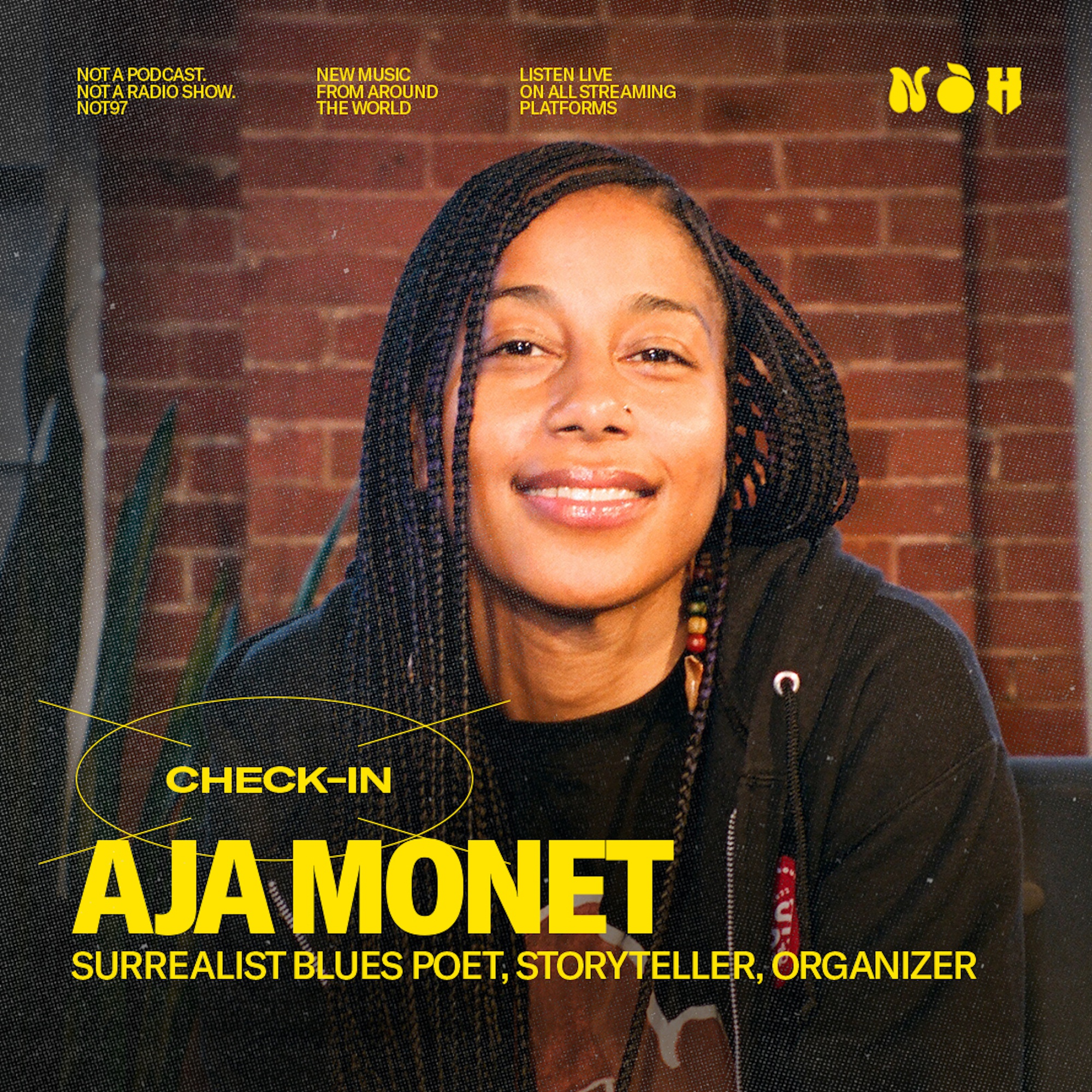 Aja Monet Interview: Surrealist Blues Poet, Organizer, Storyteller episode artwork