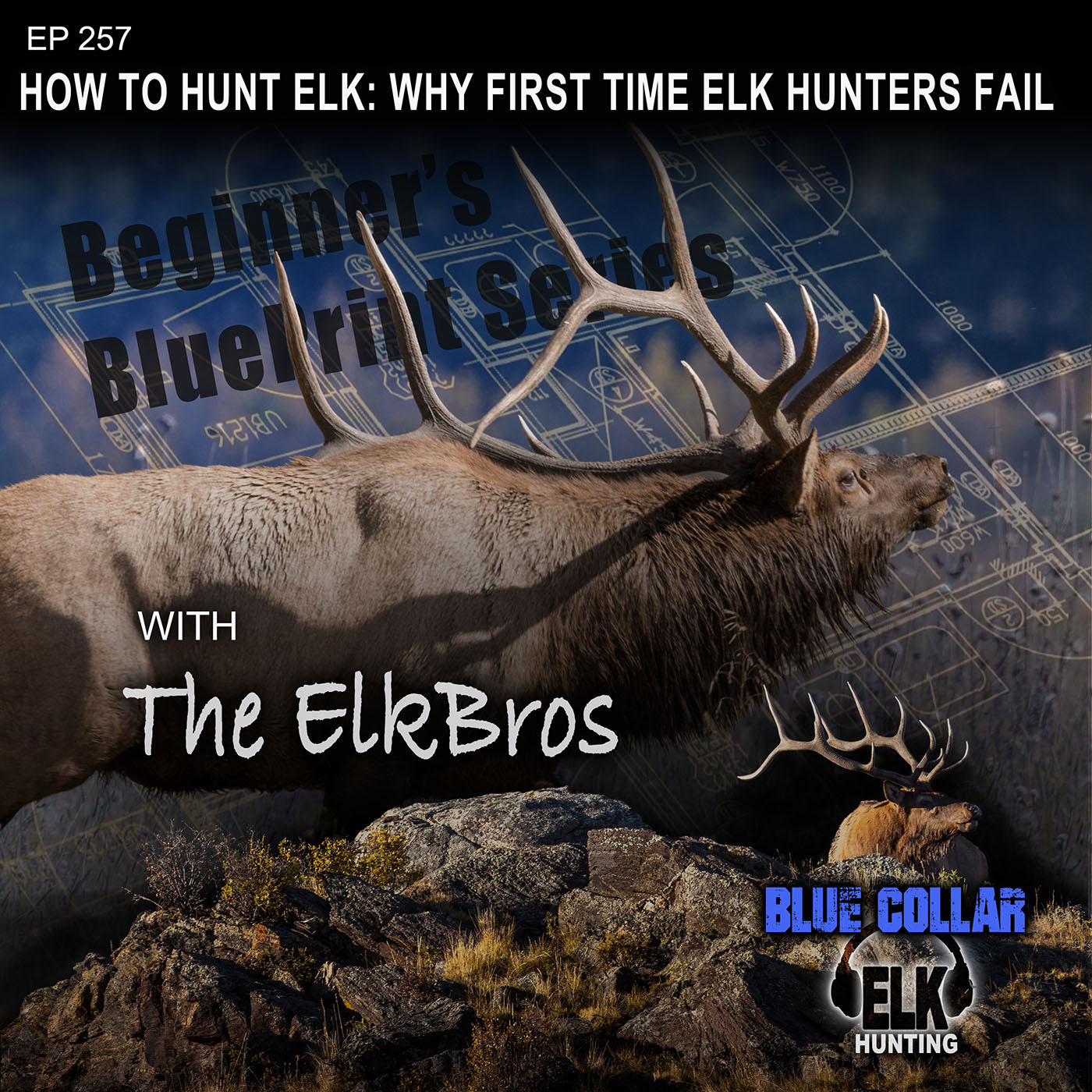 How To Hunt Elk: Why First Time Elk Hunters Fail