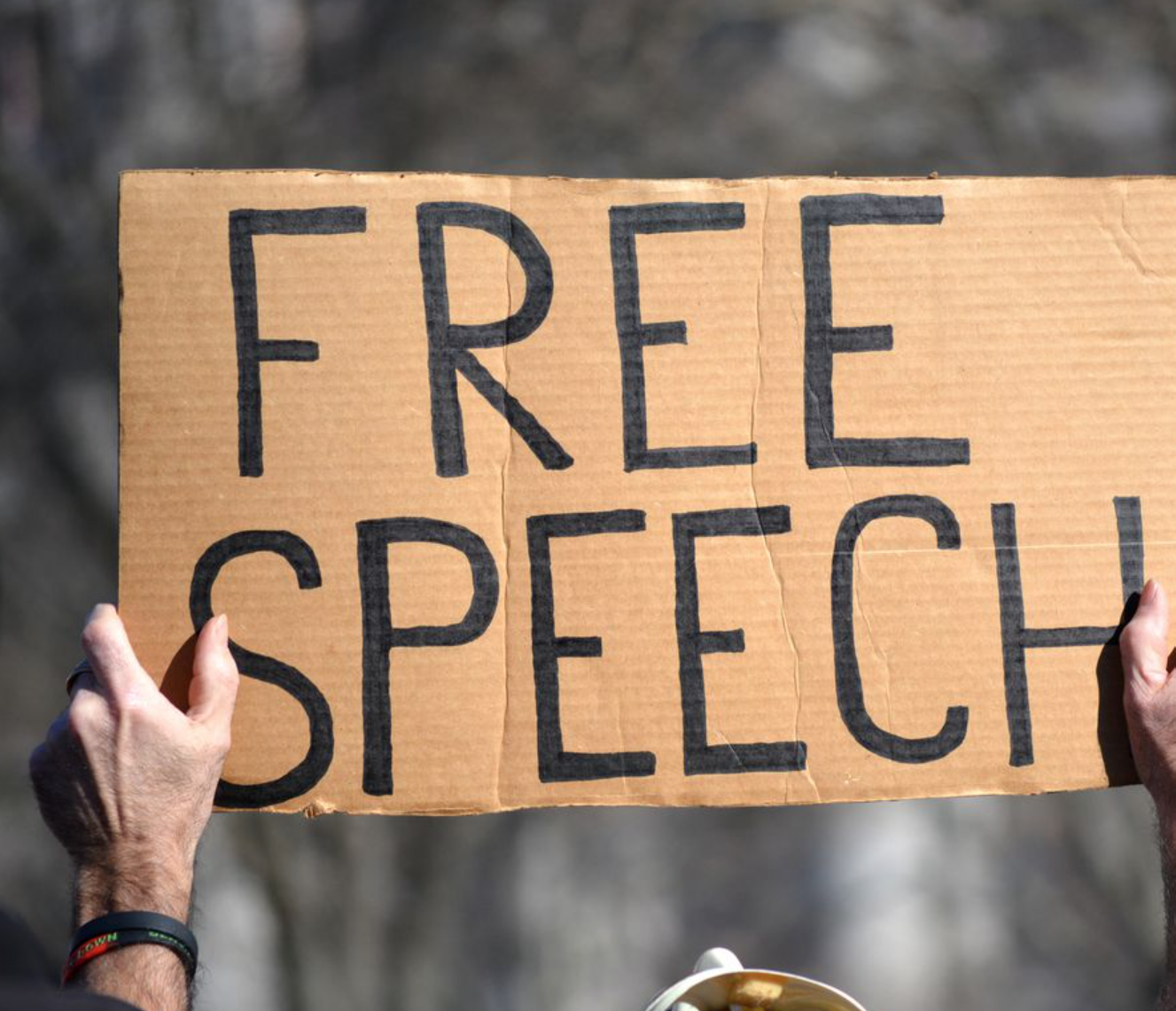 Free Expression in America