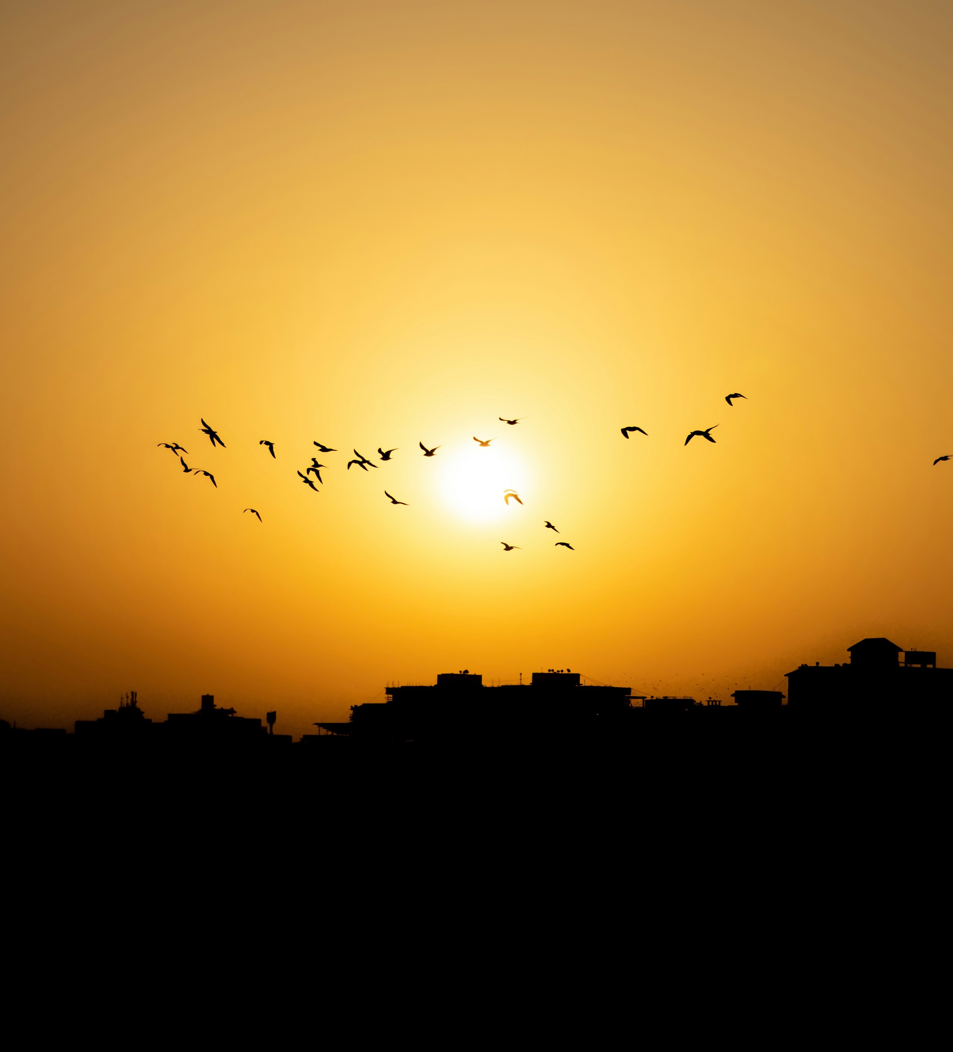 Calming Summer Morning & Birds Singing 8 Hours.mp3