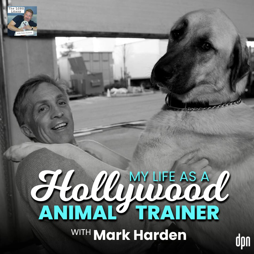 My Life as a Hollywood Animal Trainer with Mark Harden | The Long Leash #63