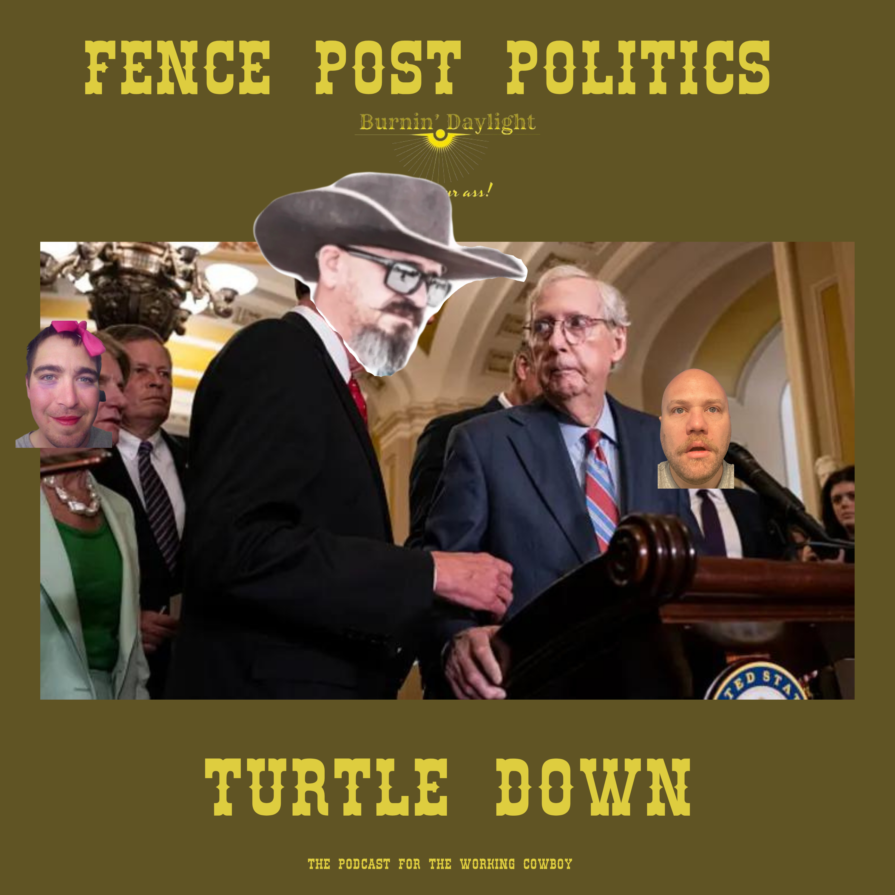 Fence Post Politics: Turtle Down