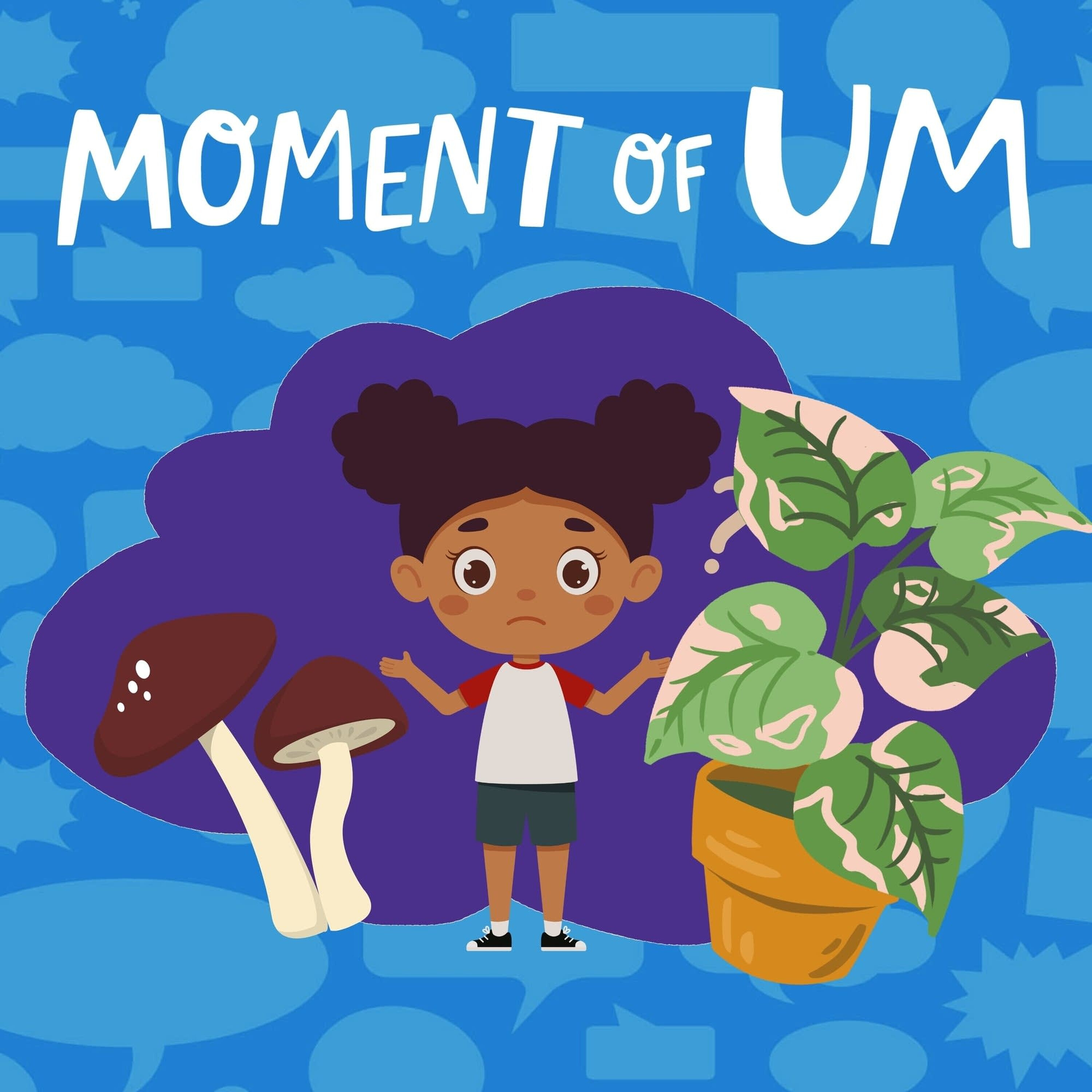 Why are we more closely related to fungi than plants?