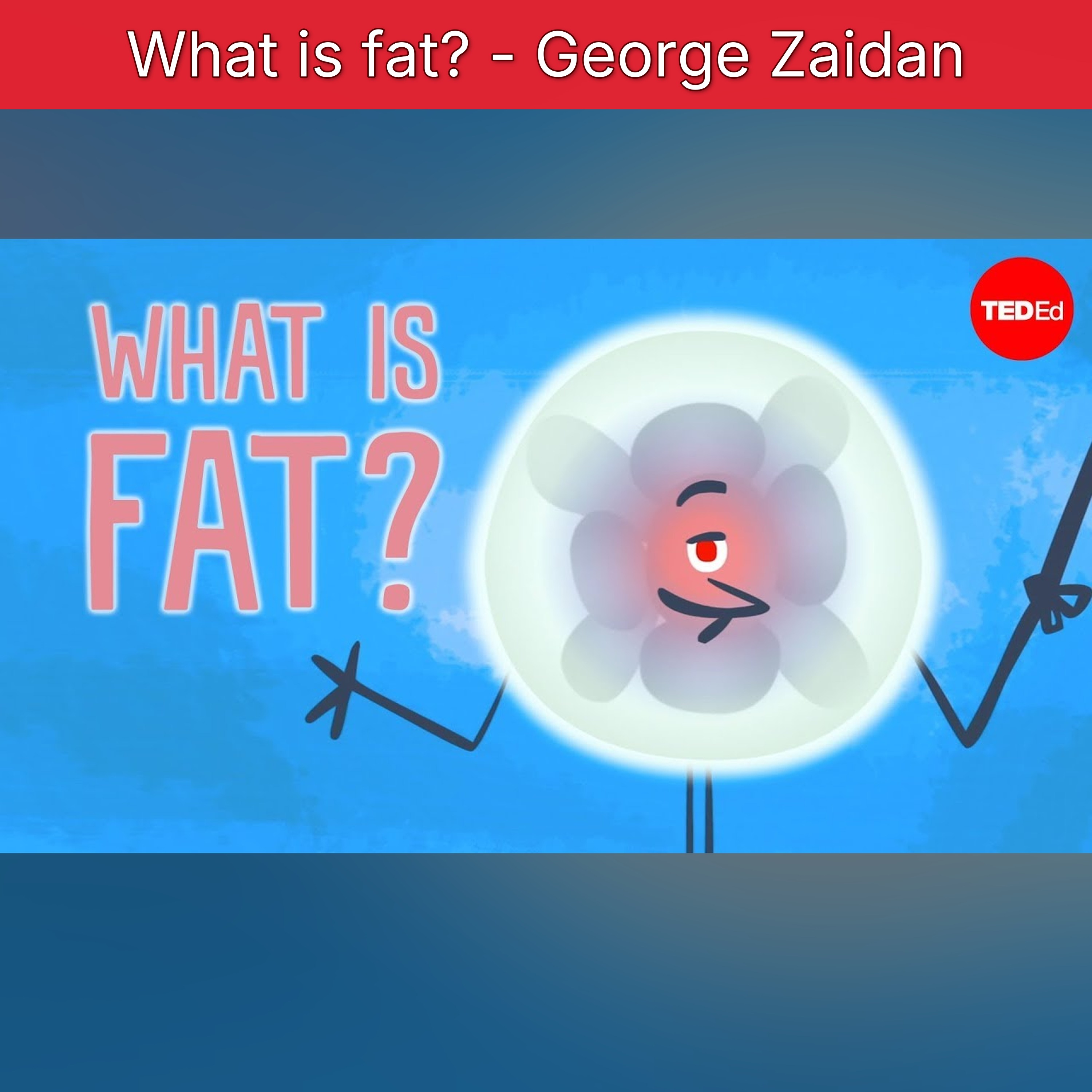 What is fat? - George Zaidan episode artwork