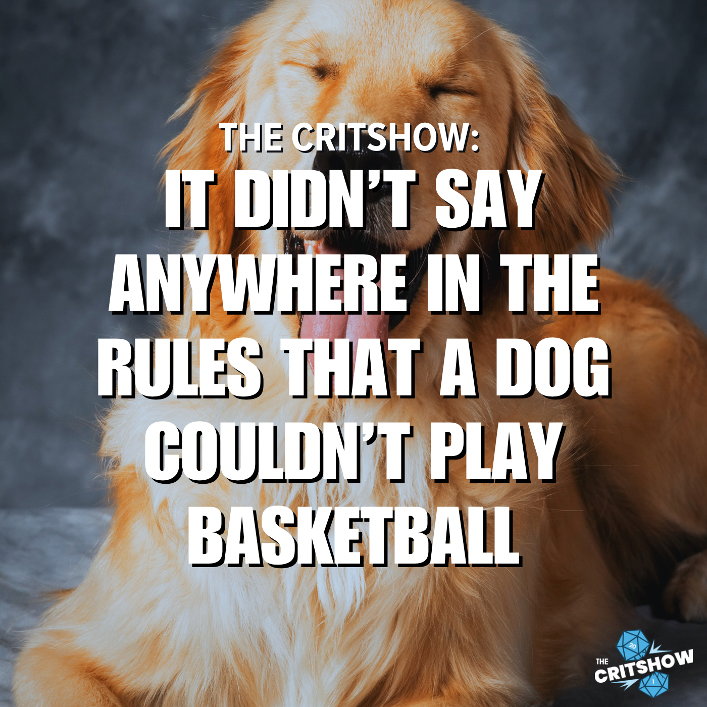 It Didn't Say Anywhere In The Rules That A Dog COULDN'T Play Basketball