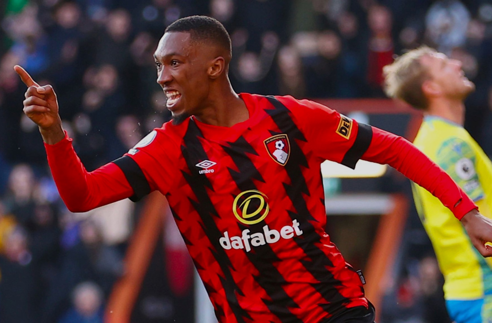 Back Of The Net - The AFC Bournemouth Podcast