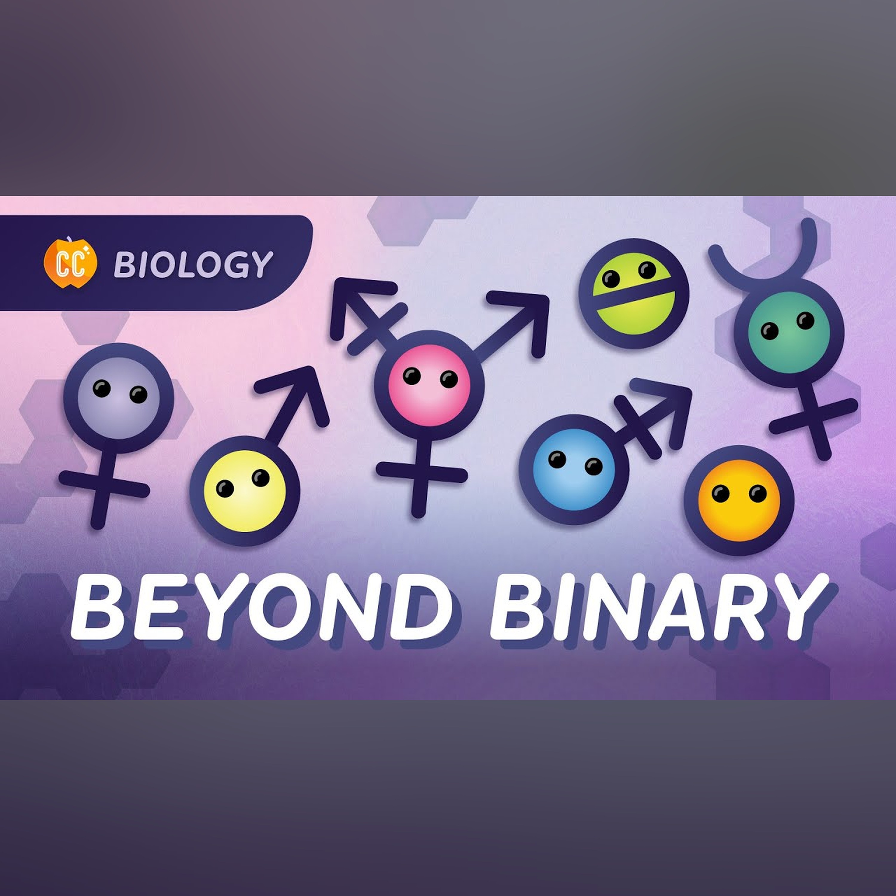 Gender, Sex, and Sexuality: What’s the Difference?: Crash Course Biology #48