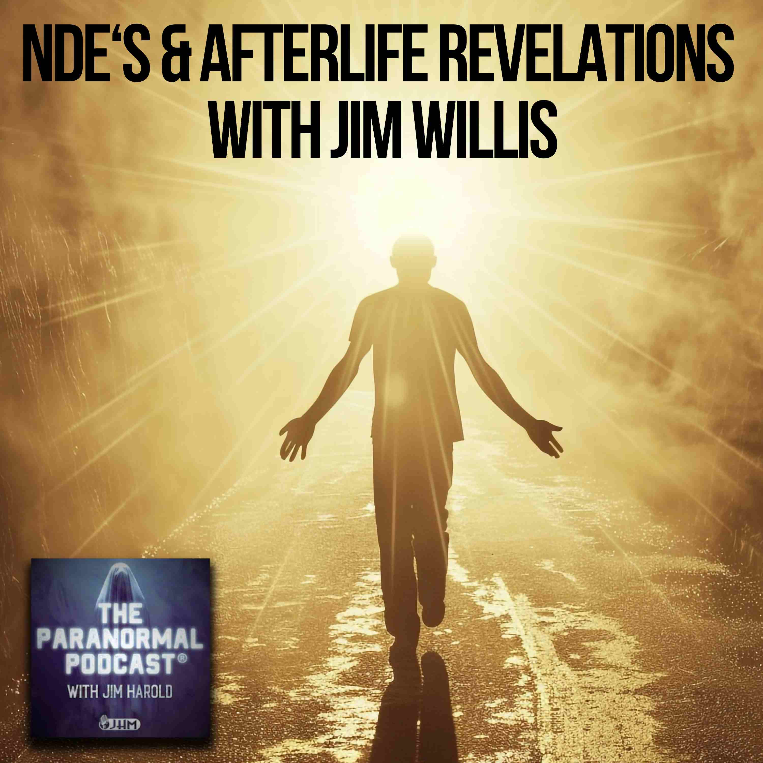 NDEs and Afterlife Revelations - The Paranormal Podcast 835