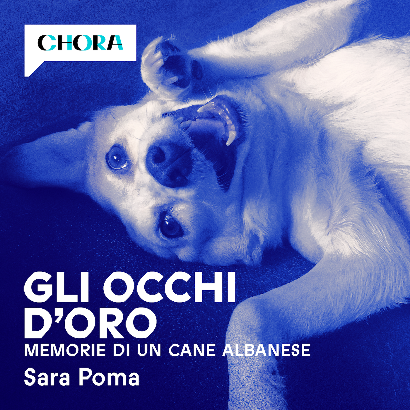 Gli occhi d'oro - Memorie di un cane albanese podcast artwork