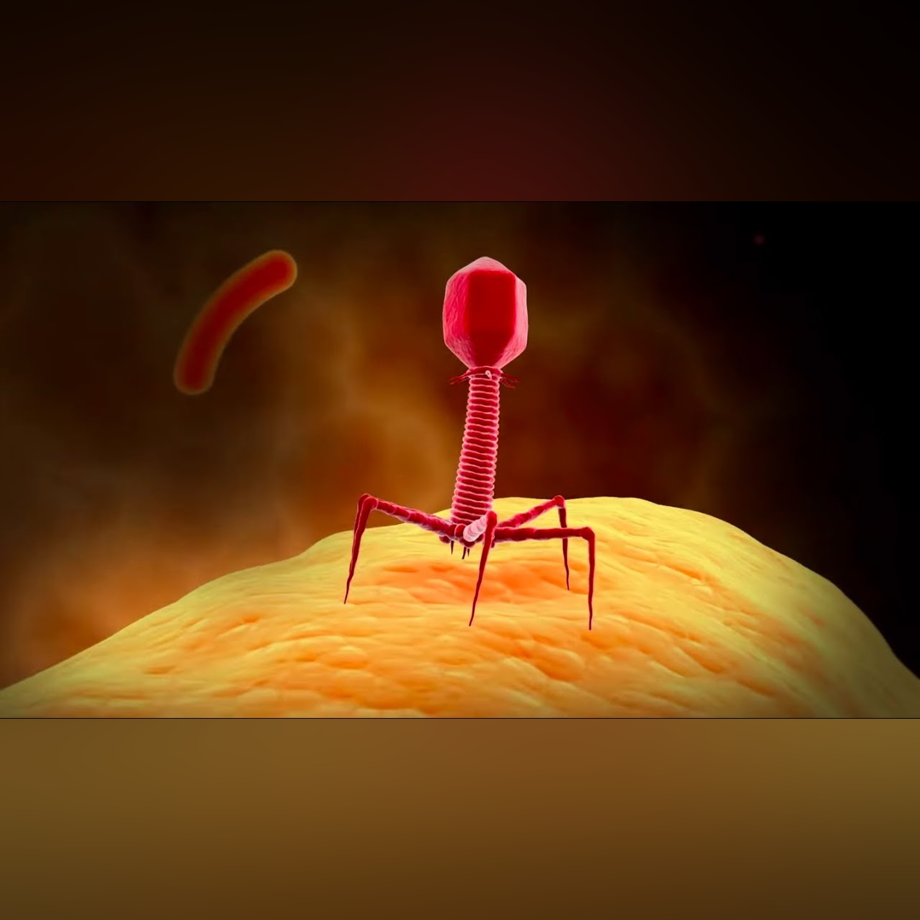 Viruses: Molecular Hijackers