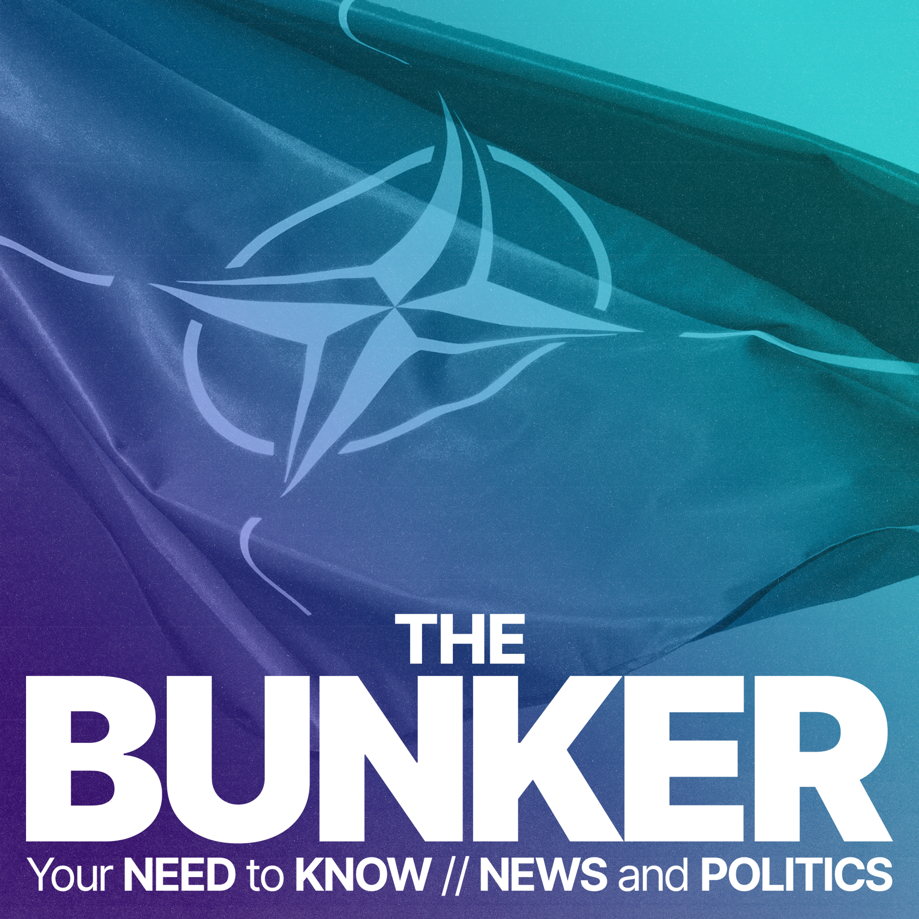 NATO is 75. Will it be around in ten years?