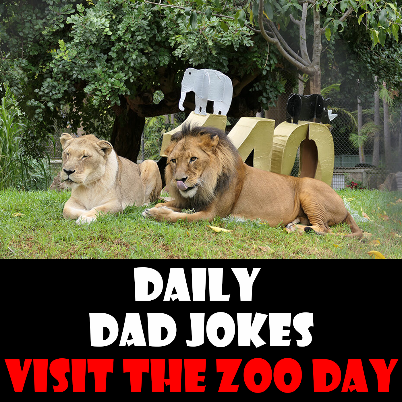Visit the Zoo Day! 28 dad jokes to monkey around with! 27 December 2025