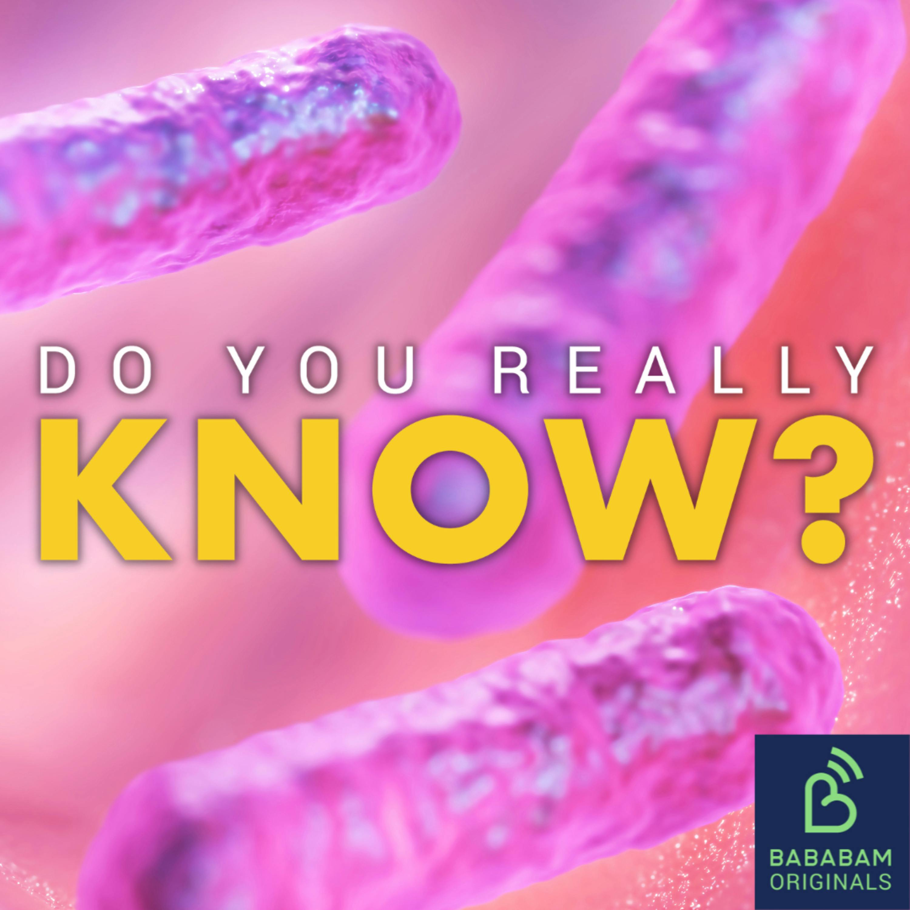 What is an endemic? What is an endemic?