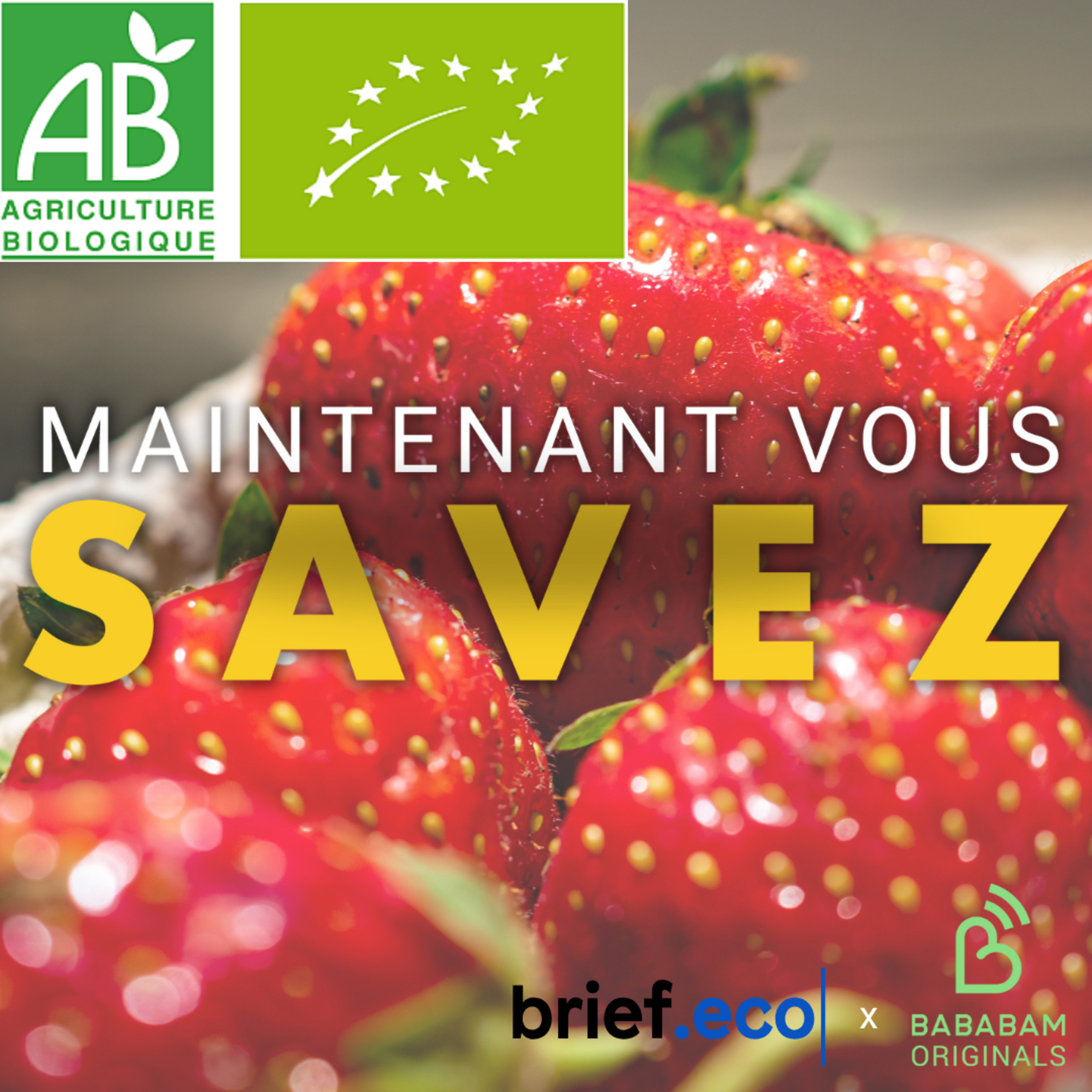 Quelle a été la première enseigne de produits bio créée en France ?