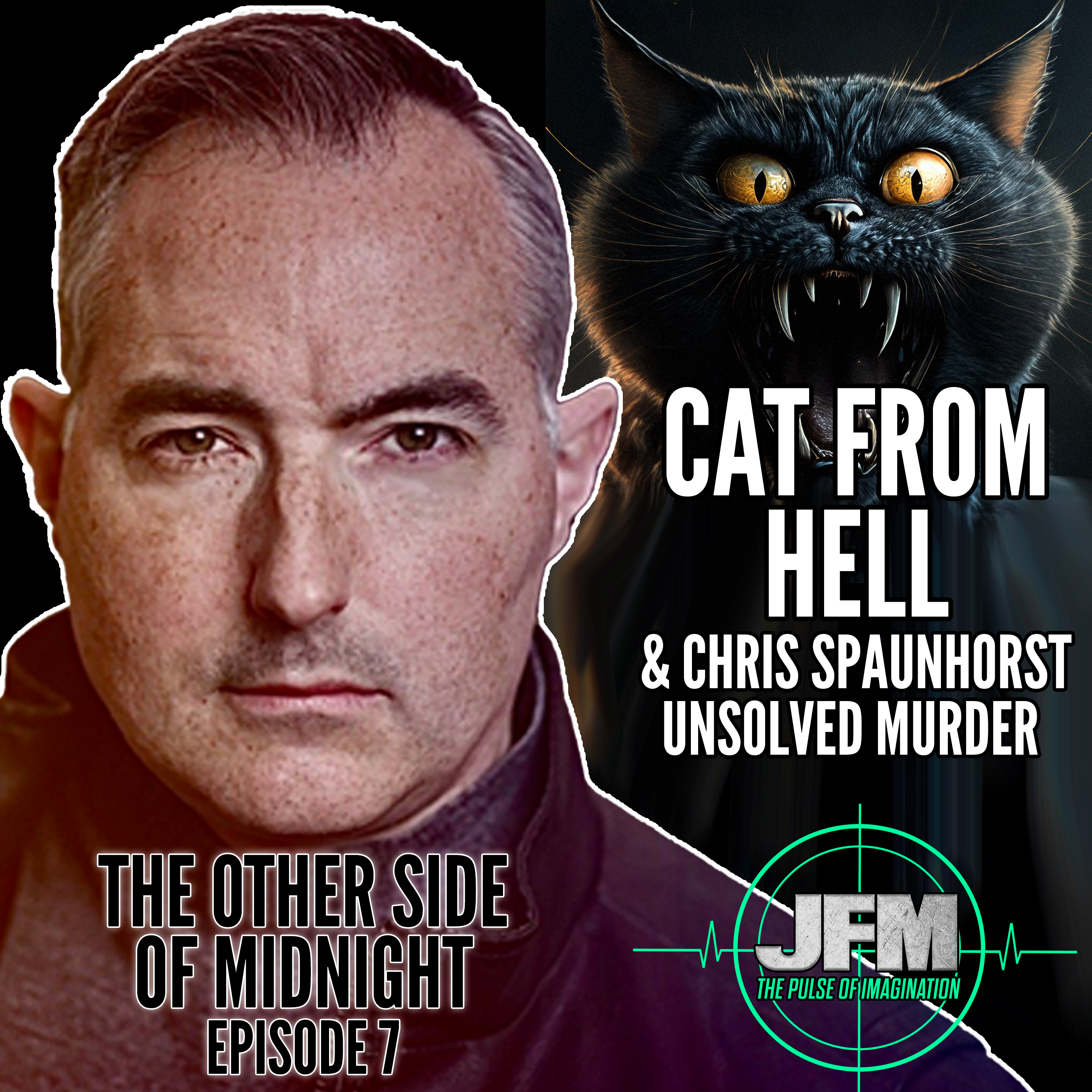 The Other Side of Midnight: Episode 7 - The Unsolved Murder Chris Spaunhorst & A Cat From Hell episode artwork