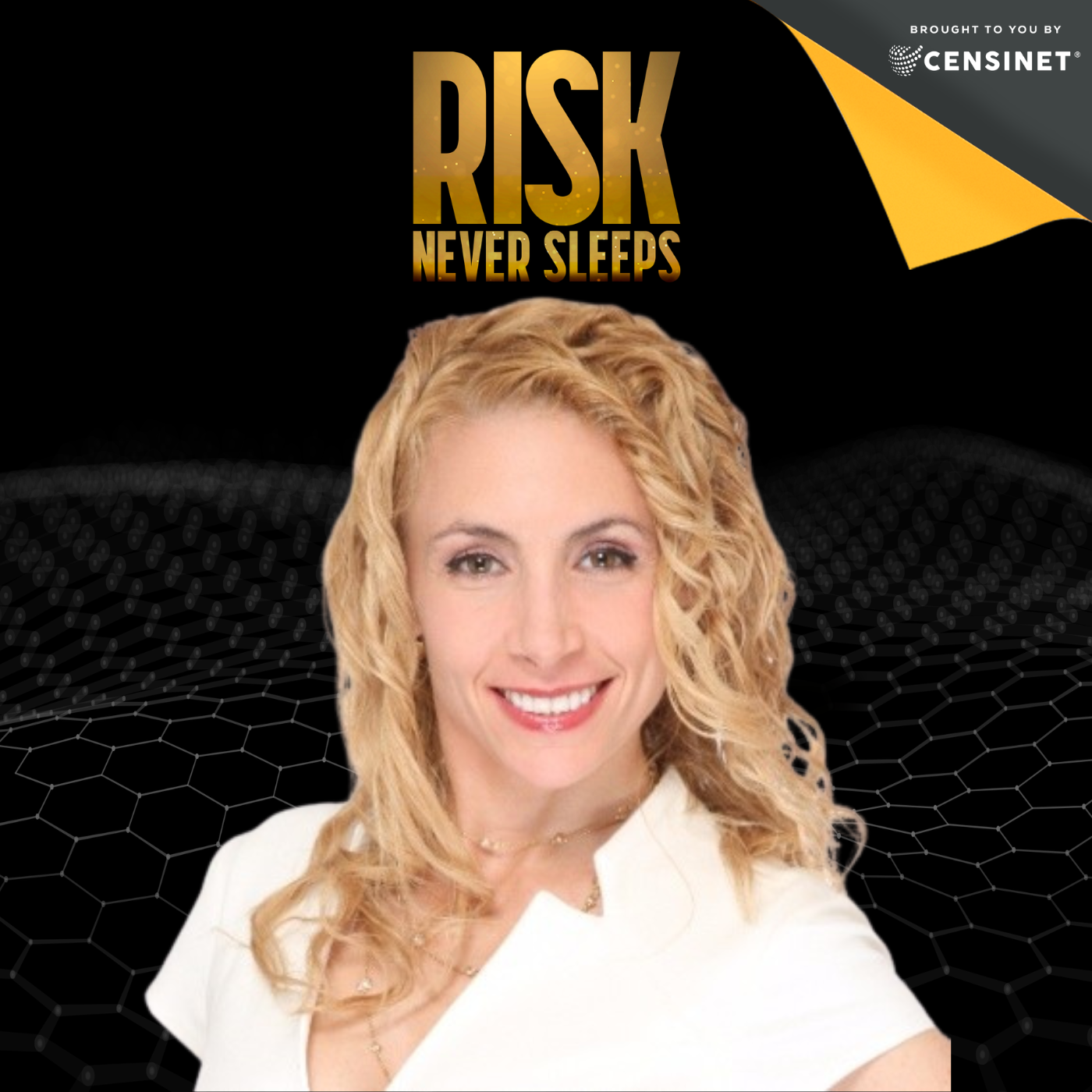 Risk Never Sleeps Podcast