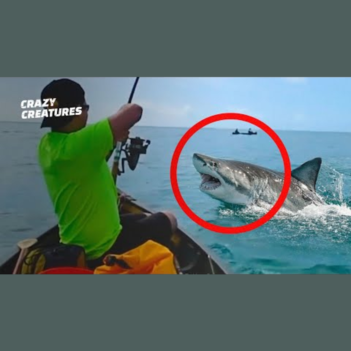 Most Terrifying Shark Attacks Ever Filmed episode artwork