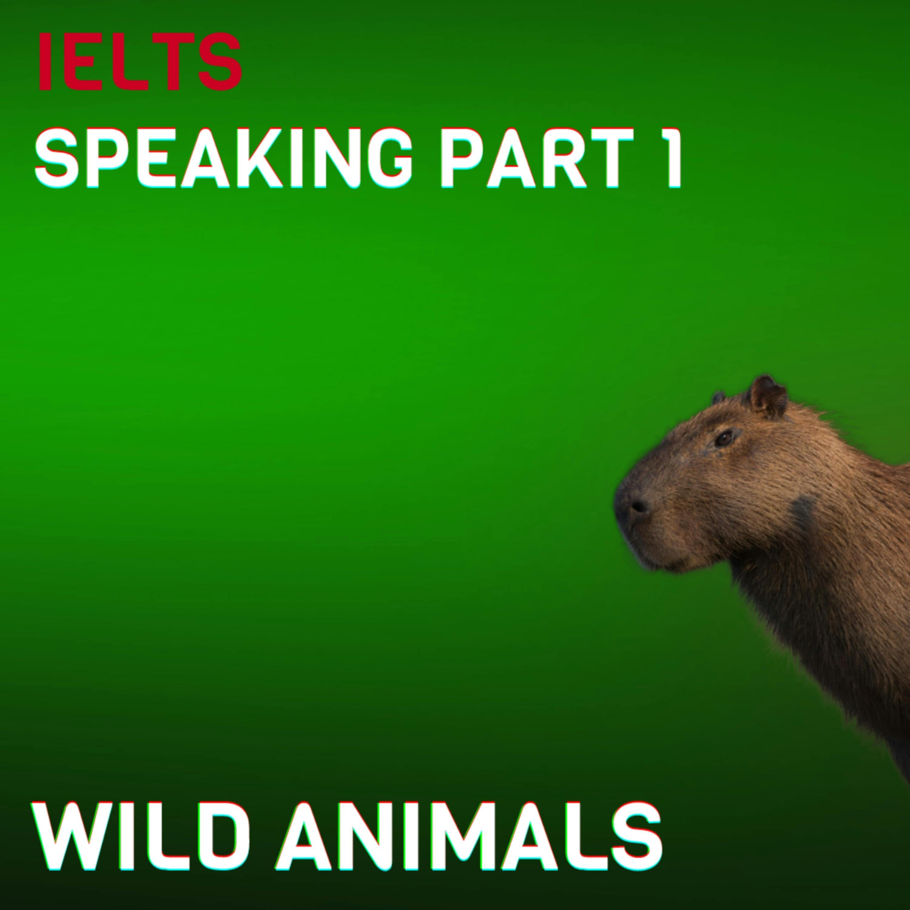 🦙 Wild animals (S09E03) + Transcript
