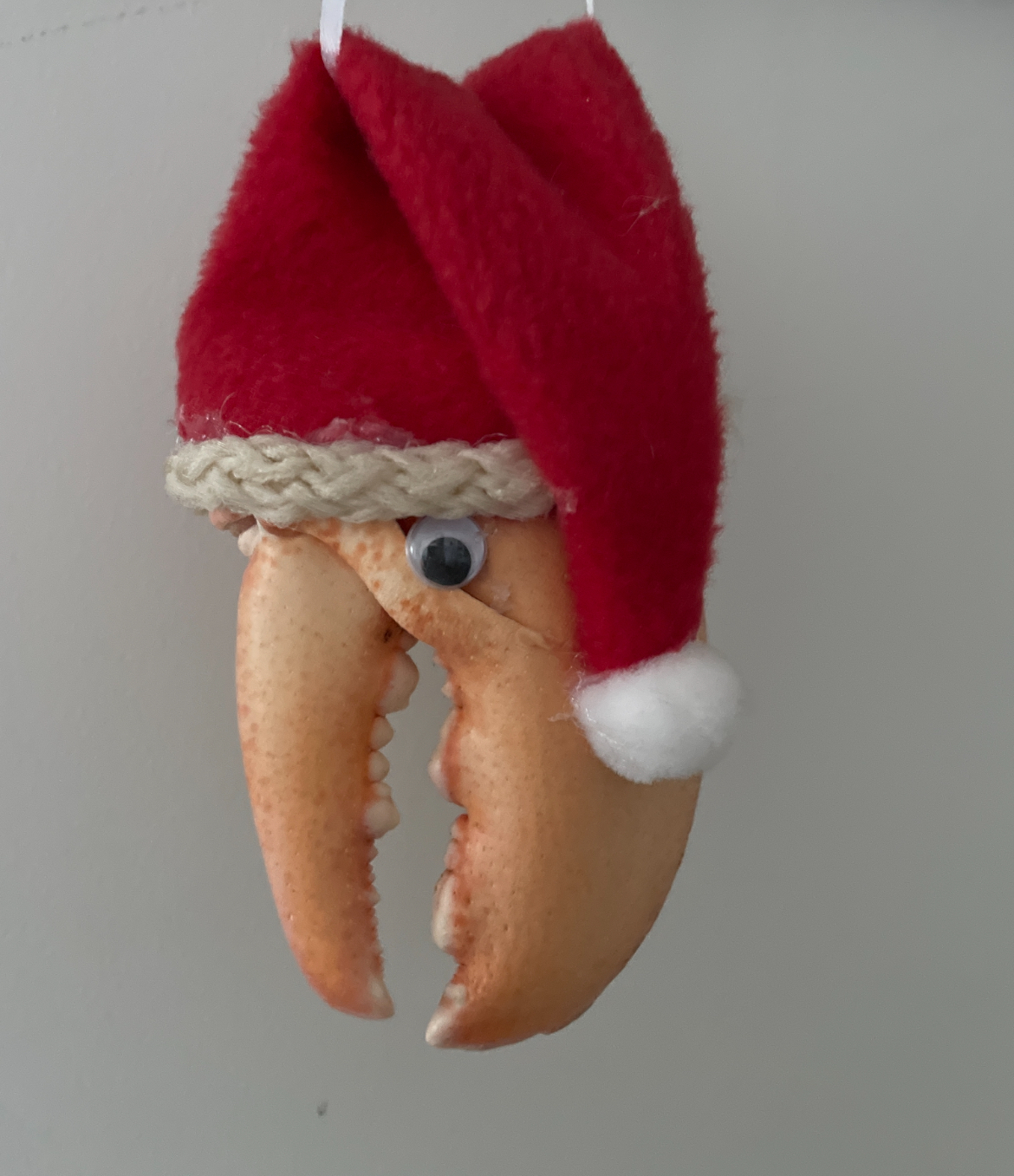 Fly Fishing Consultant Podcast