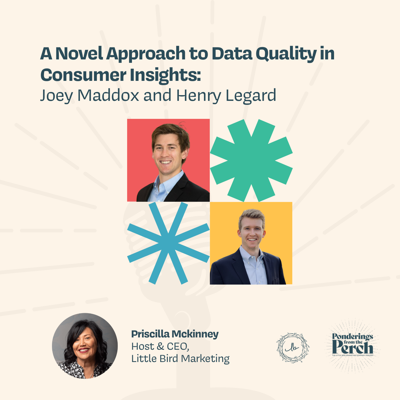 A Novel Approach to Data Quality in Consumer Insights episode artwork