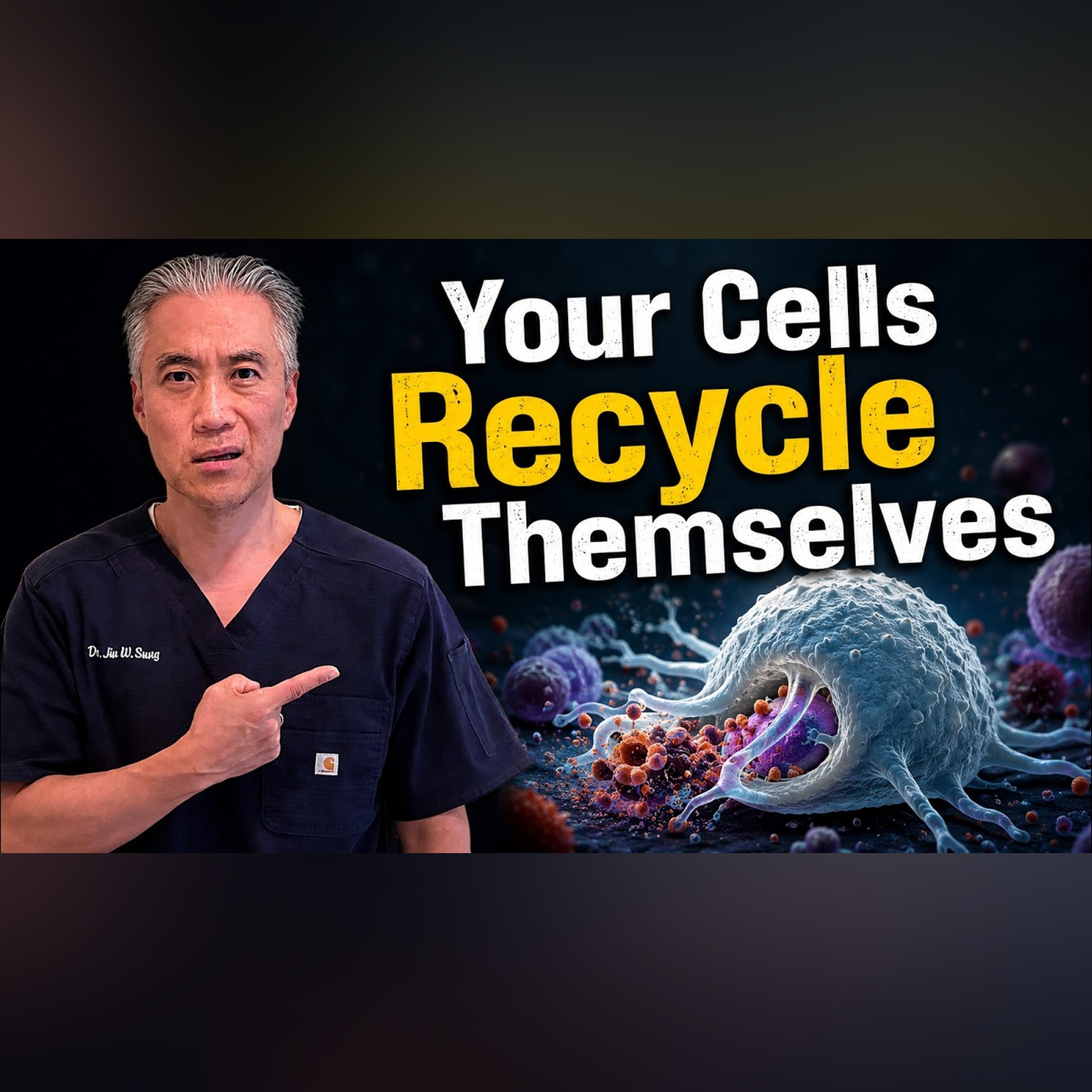 24 Hours to Unlock Maximum Cell Repair episode artwork