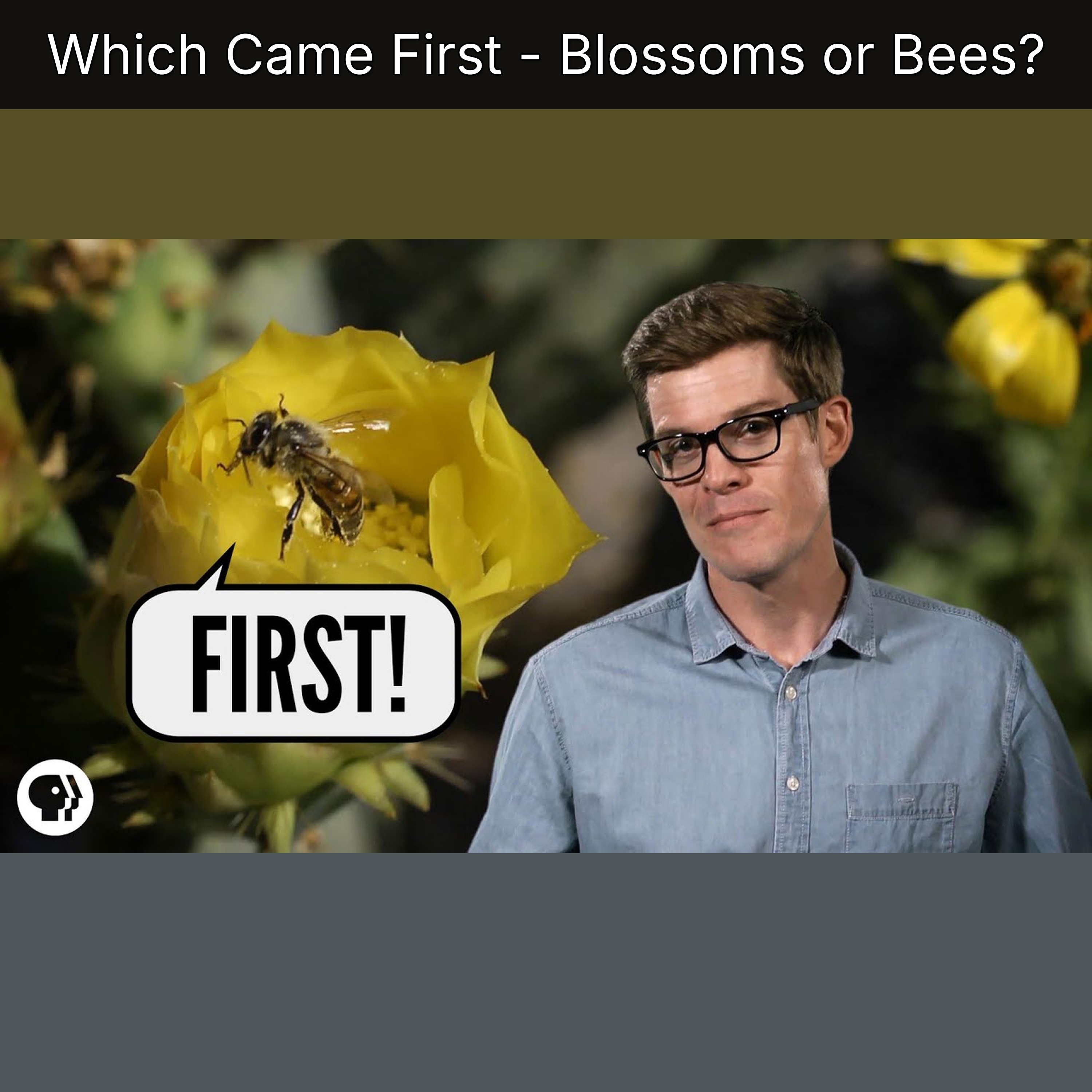 Which Came First - Blossoms or Bees? episode artwork