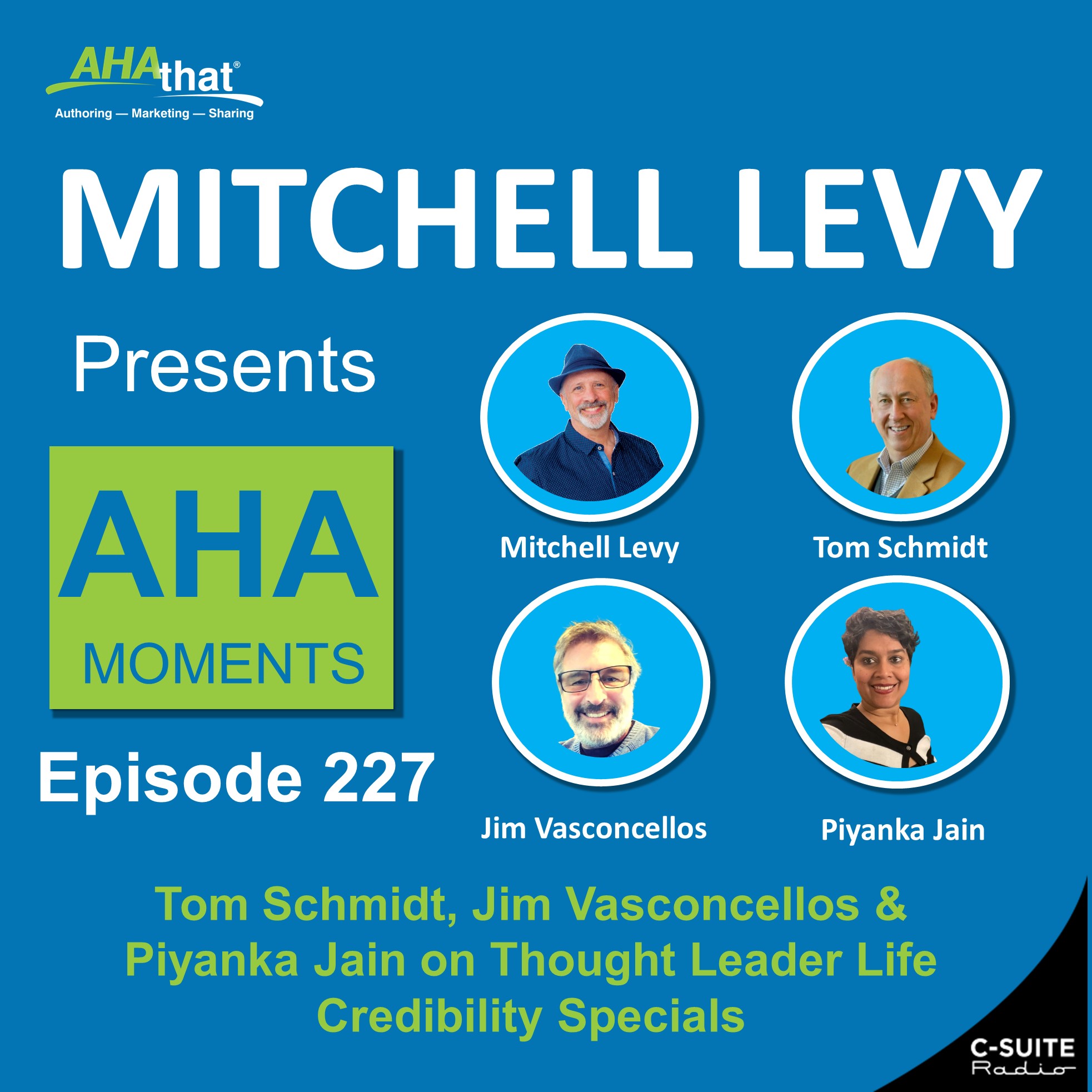 Mitchell Levy Presents AHA Moments
