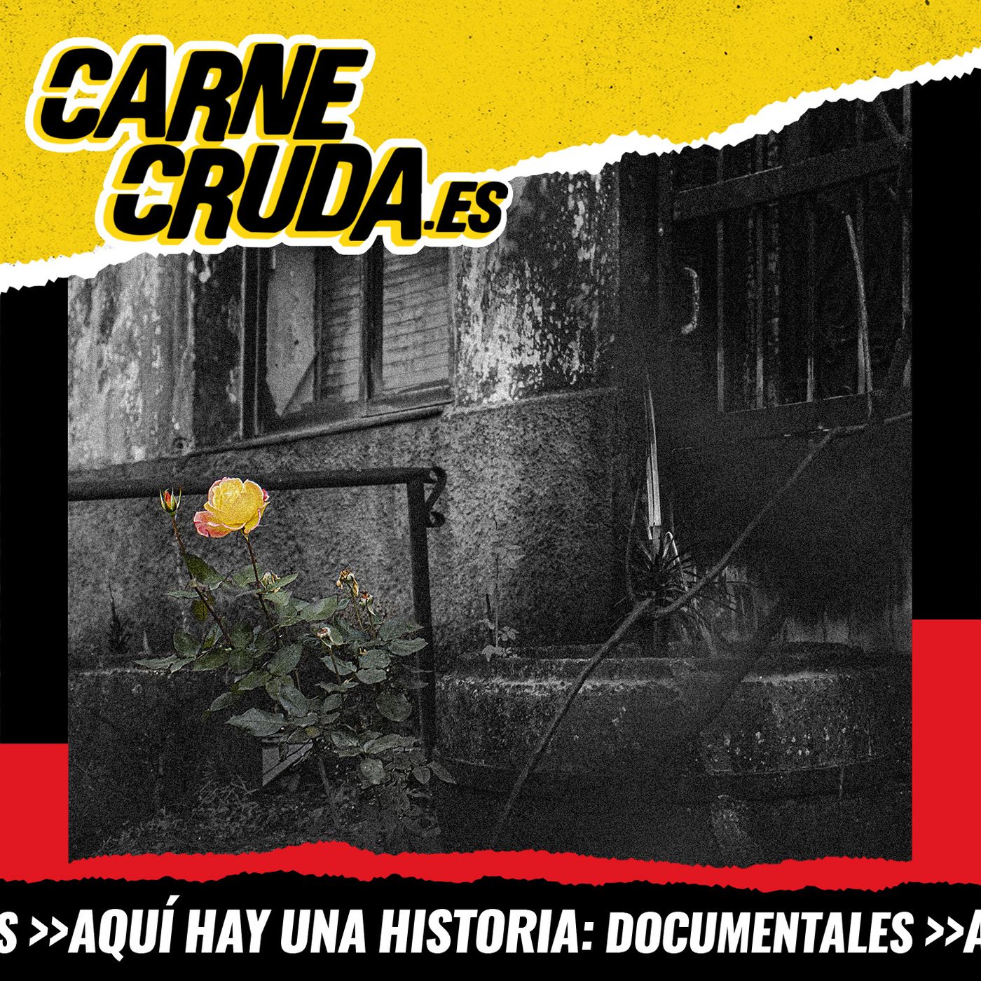 Megaincendios: por qué pasan y volverán a pasar (DOCUMENTALES - CARNE CRUDA #1127)