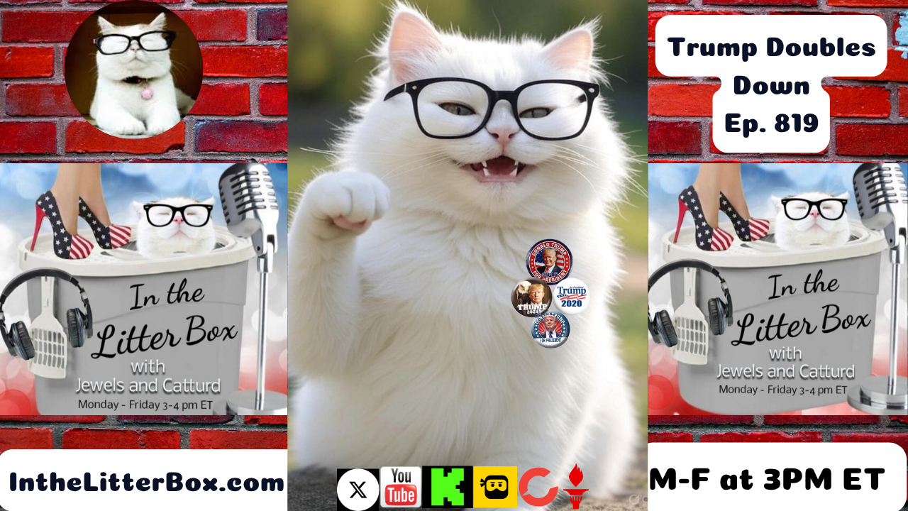 Trump Doubles Down | In the Litter Box w/ Jewels & Catturd – Ep. 819 – 6/11/2025