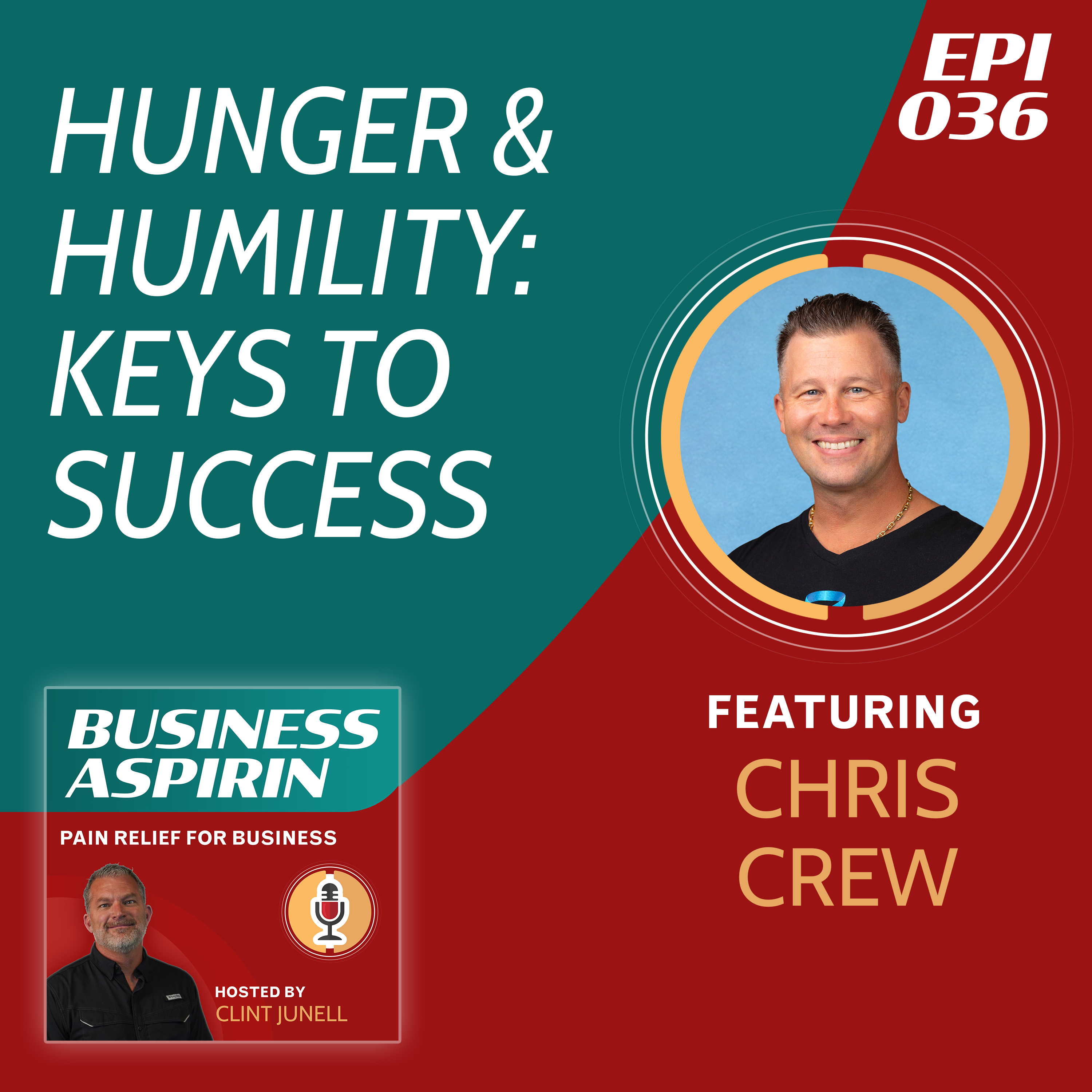 Business Aspirin:  Pain Relief for Business